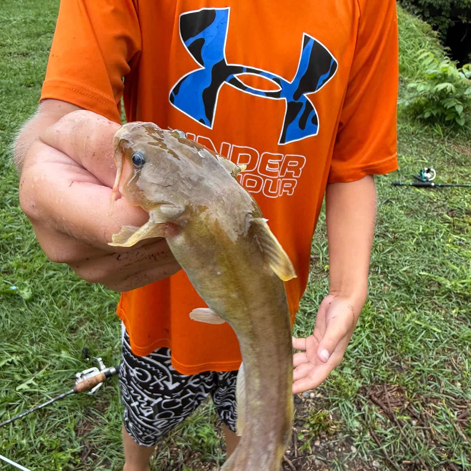 Stonecat caught on Fishbrain