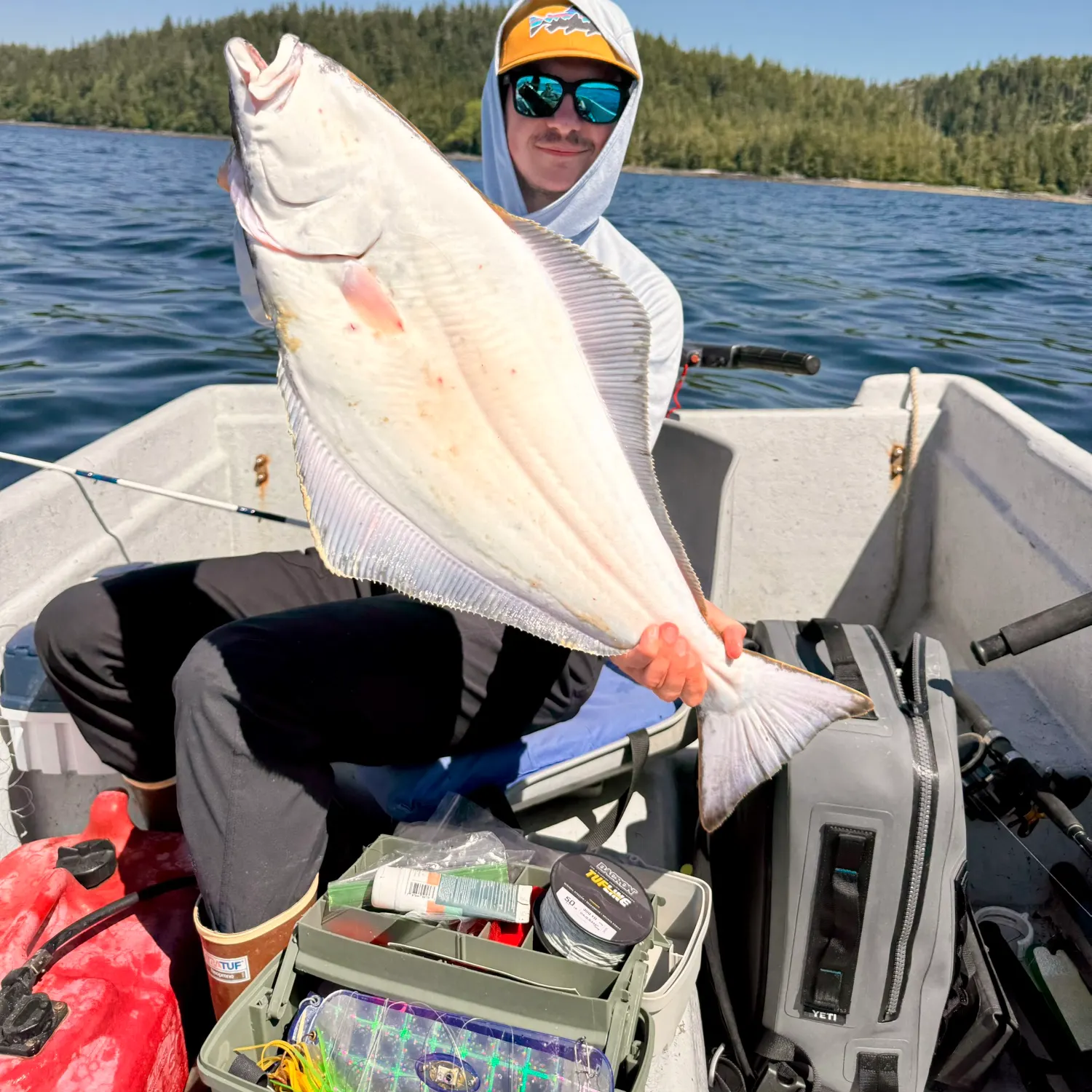 The most recent Pacific halibut catches on Fishbrain