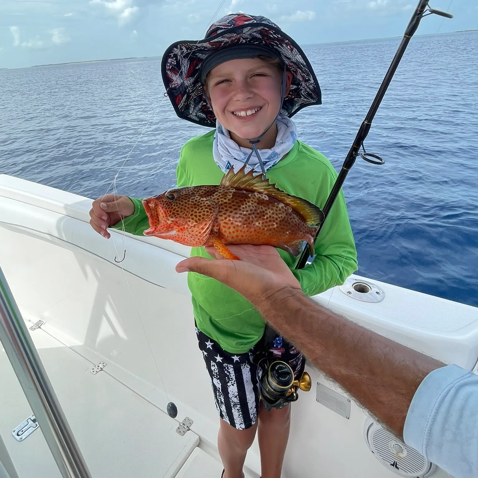 The most recent Strawberry hind catches on Fishbrain