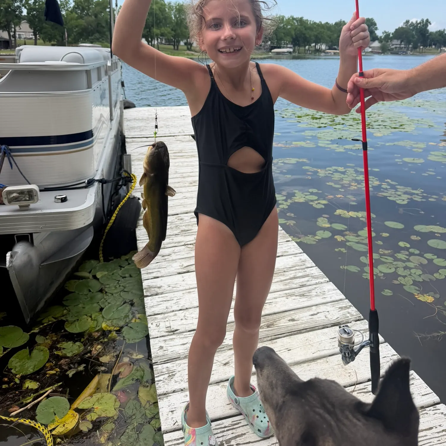 Yellow bullhead caught on Fishbrain