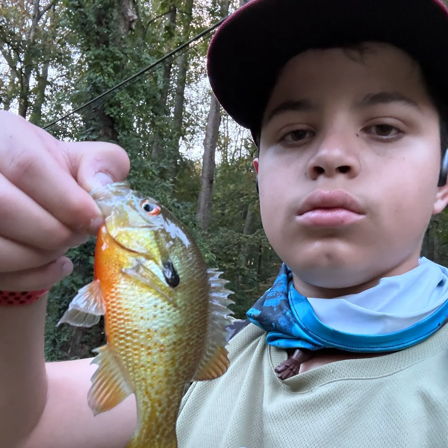 Redbreast sunfish caught on Fishbrain