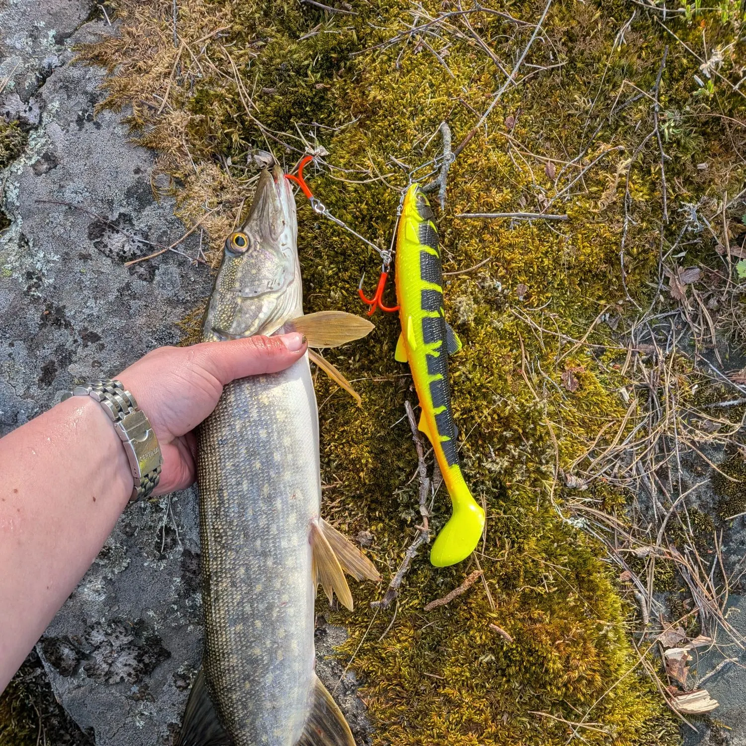 catch