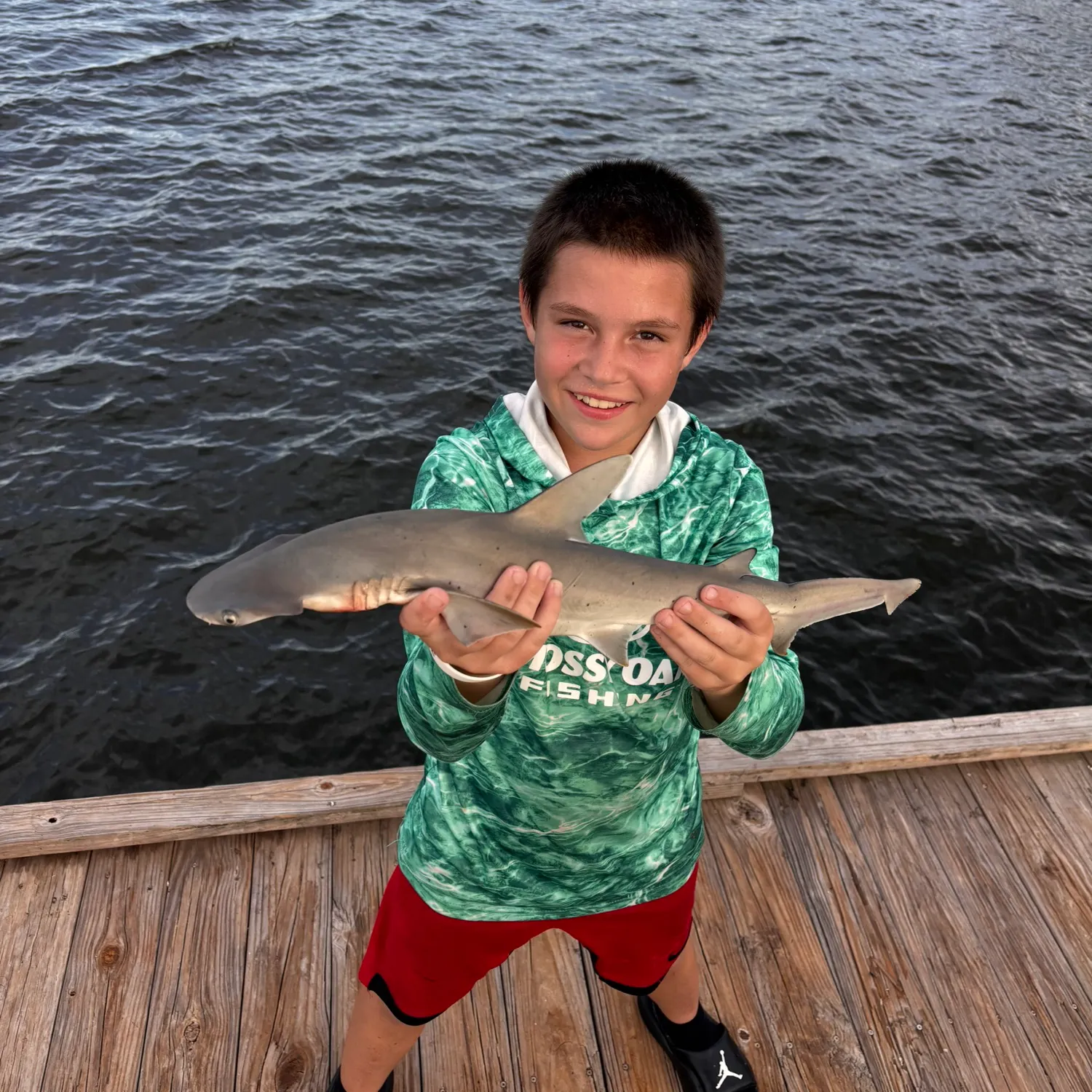 Bonnethead shark caught on Fishbrain