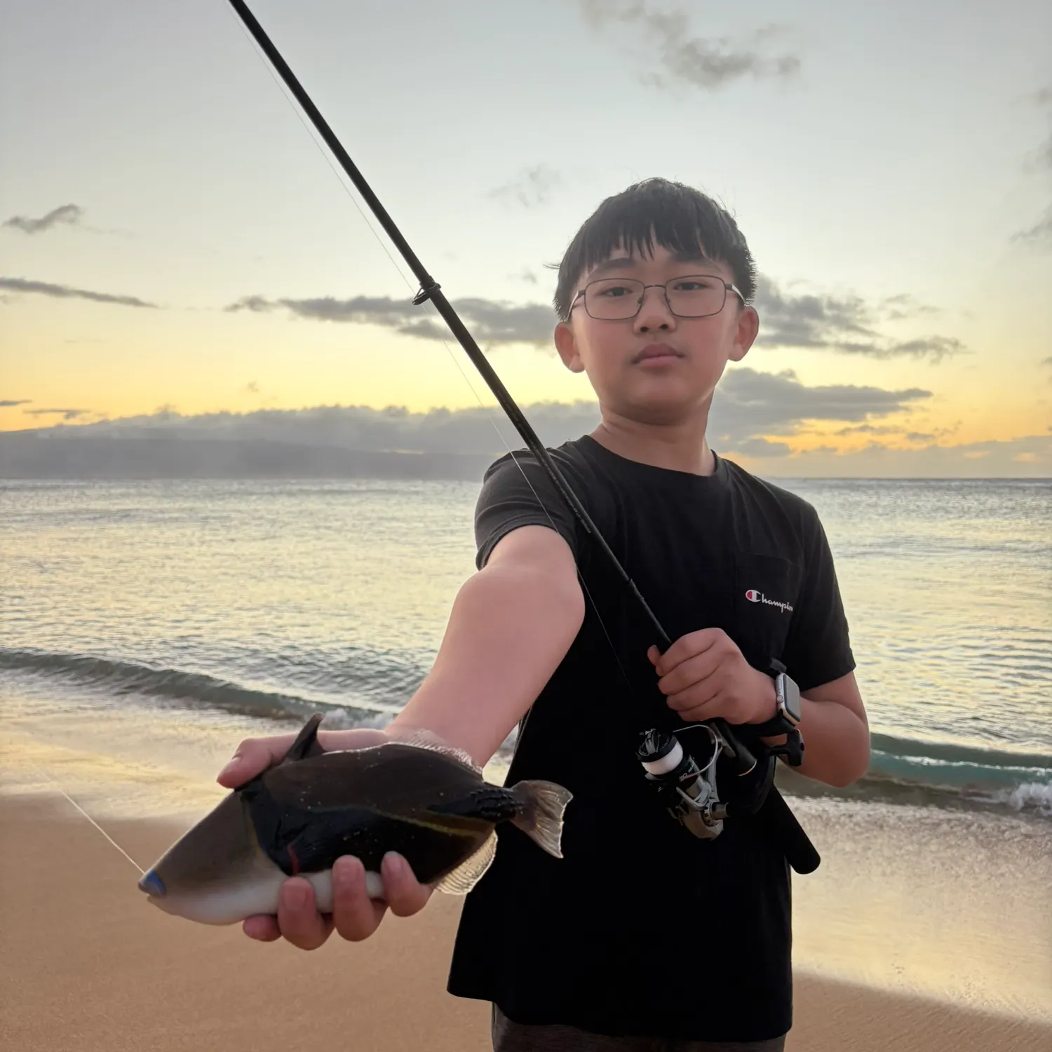 The most recent Wedge-tail triggerfish catches on Fishbrain