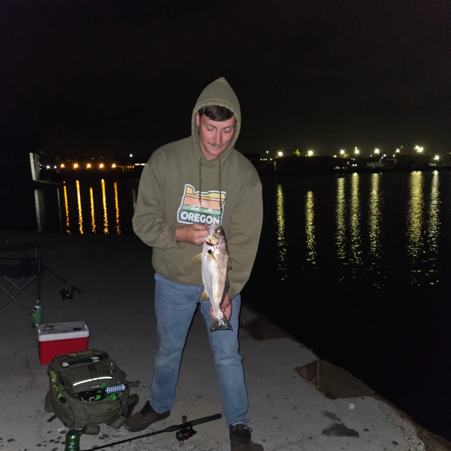 The most recent Spotfin croaker catches on Fishbrain