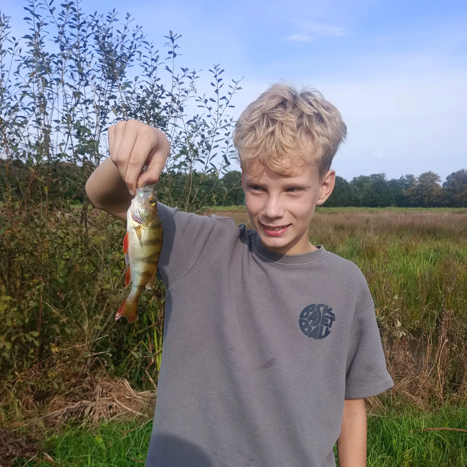 European perch caught on Fishbrain