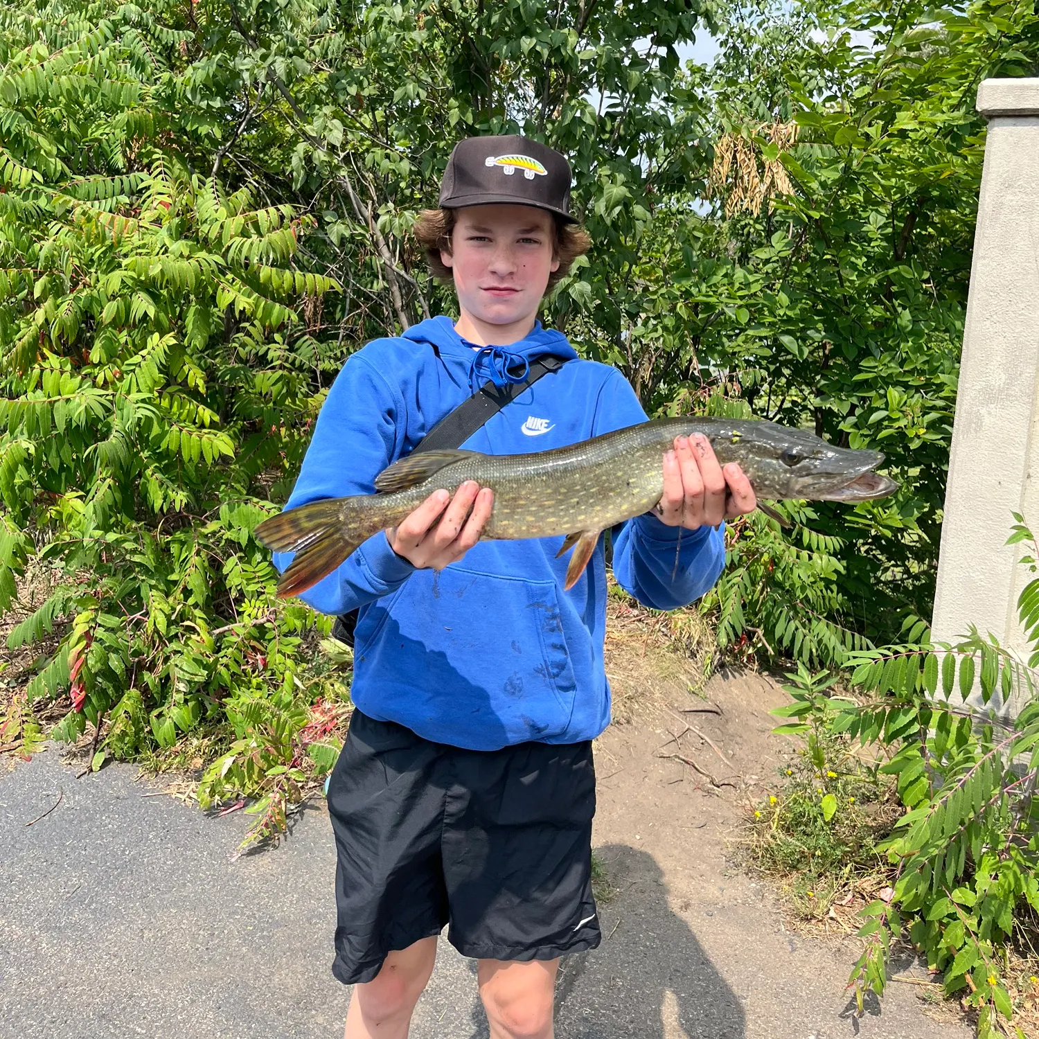 Northern pike caught on Fishbrain