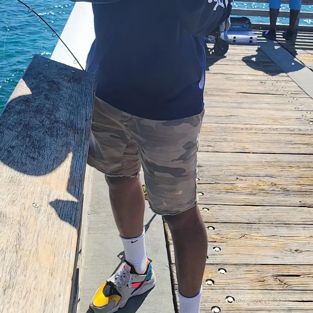 most liked catch image
