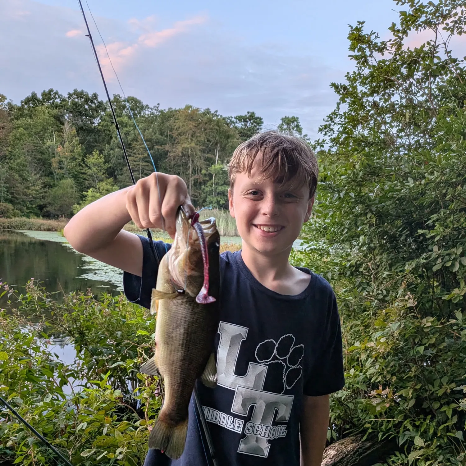 Largemouth bass caught on Fishbrain