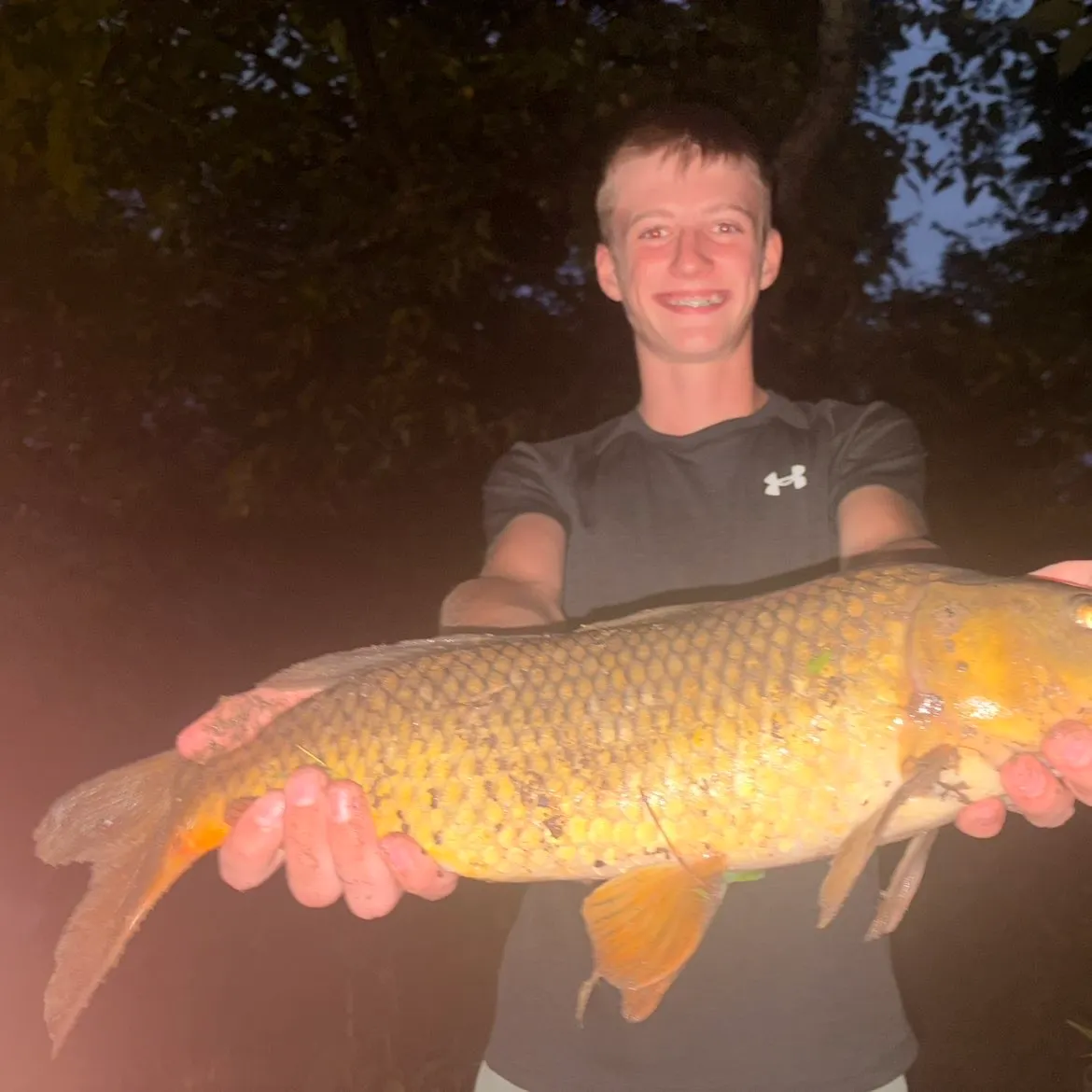 Common carp caught on Fishbrain
