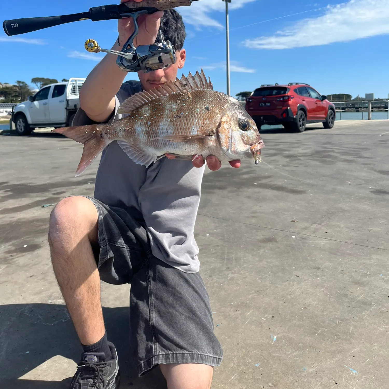 Australasian snapper caught on Fishbrain