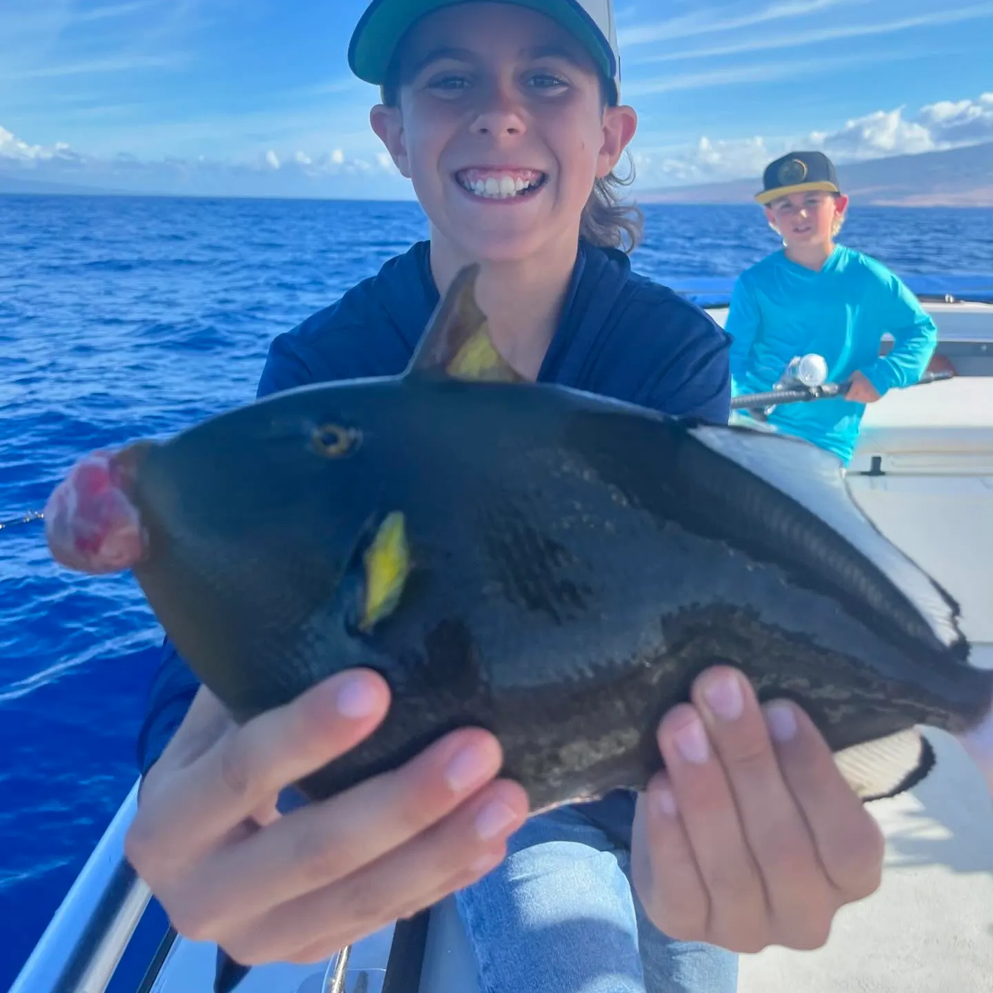 The most recent Pinktail triggerfish catches on Fishbrain