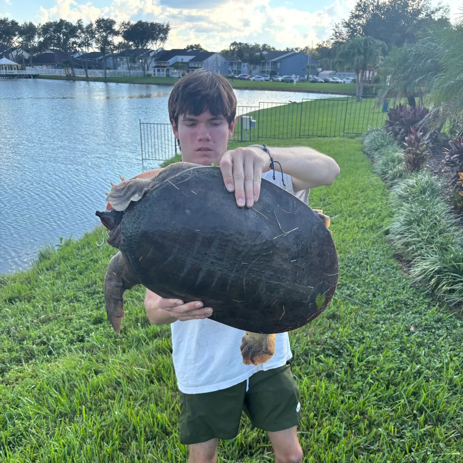 Florida softshell turtle caught on Fishbrain