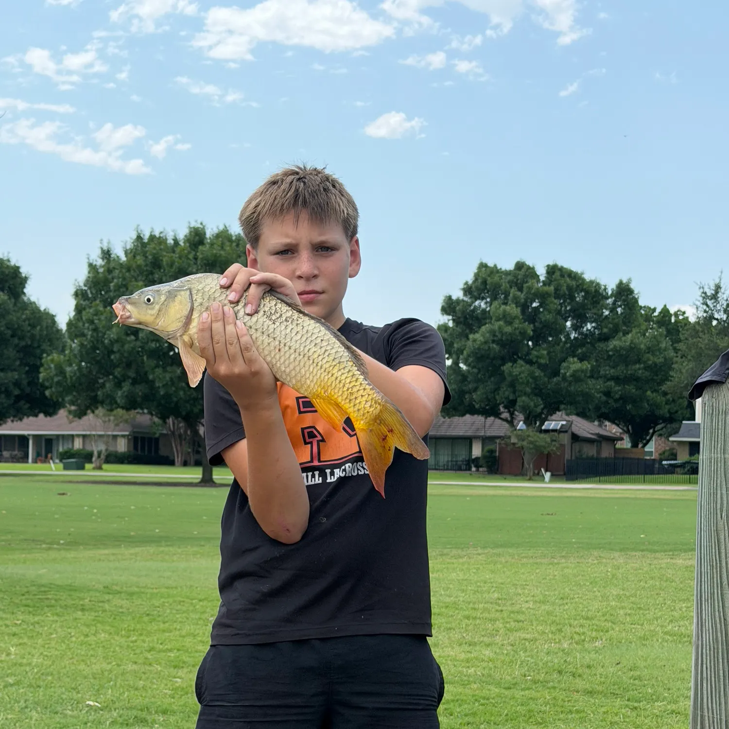 Common carp caught on Fishbrain