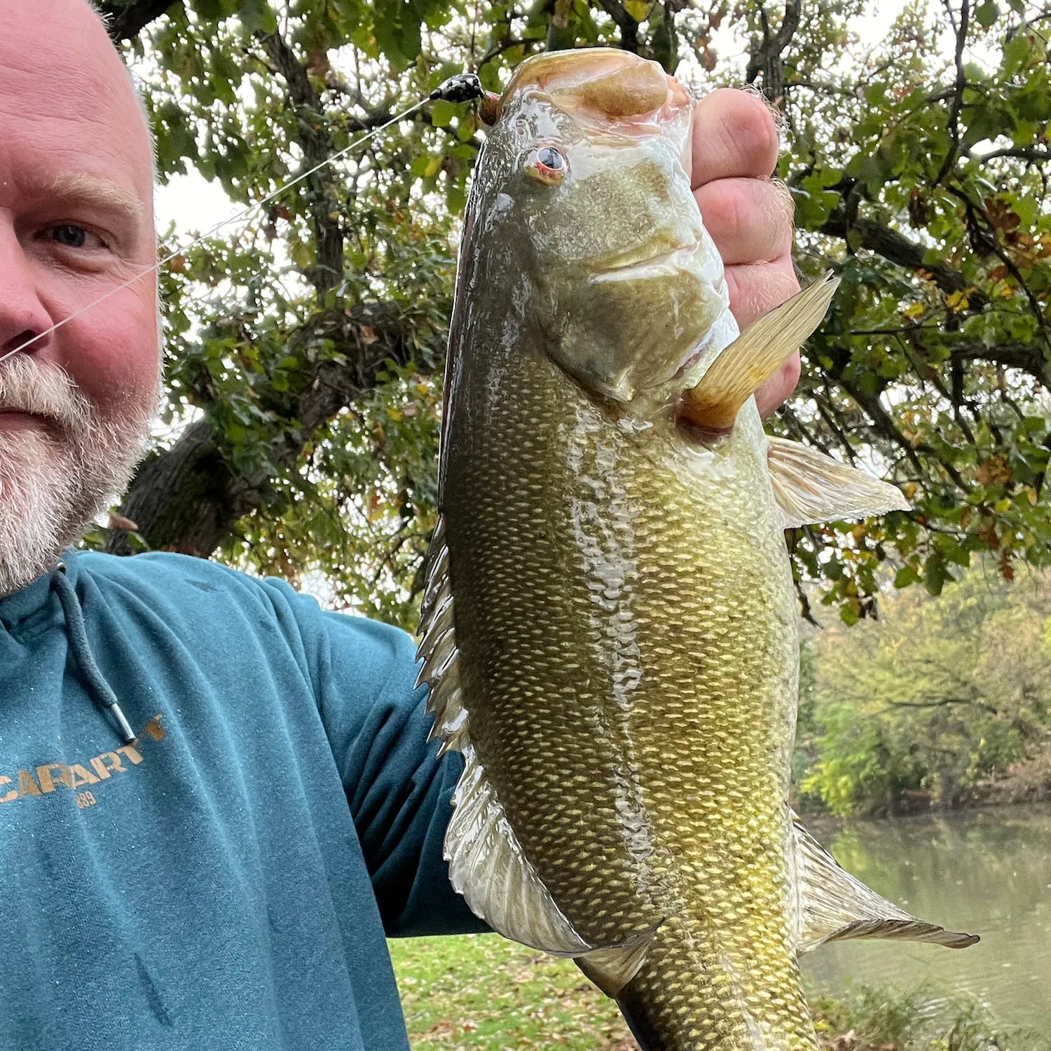Smallmouth bass caught on Fishbrain