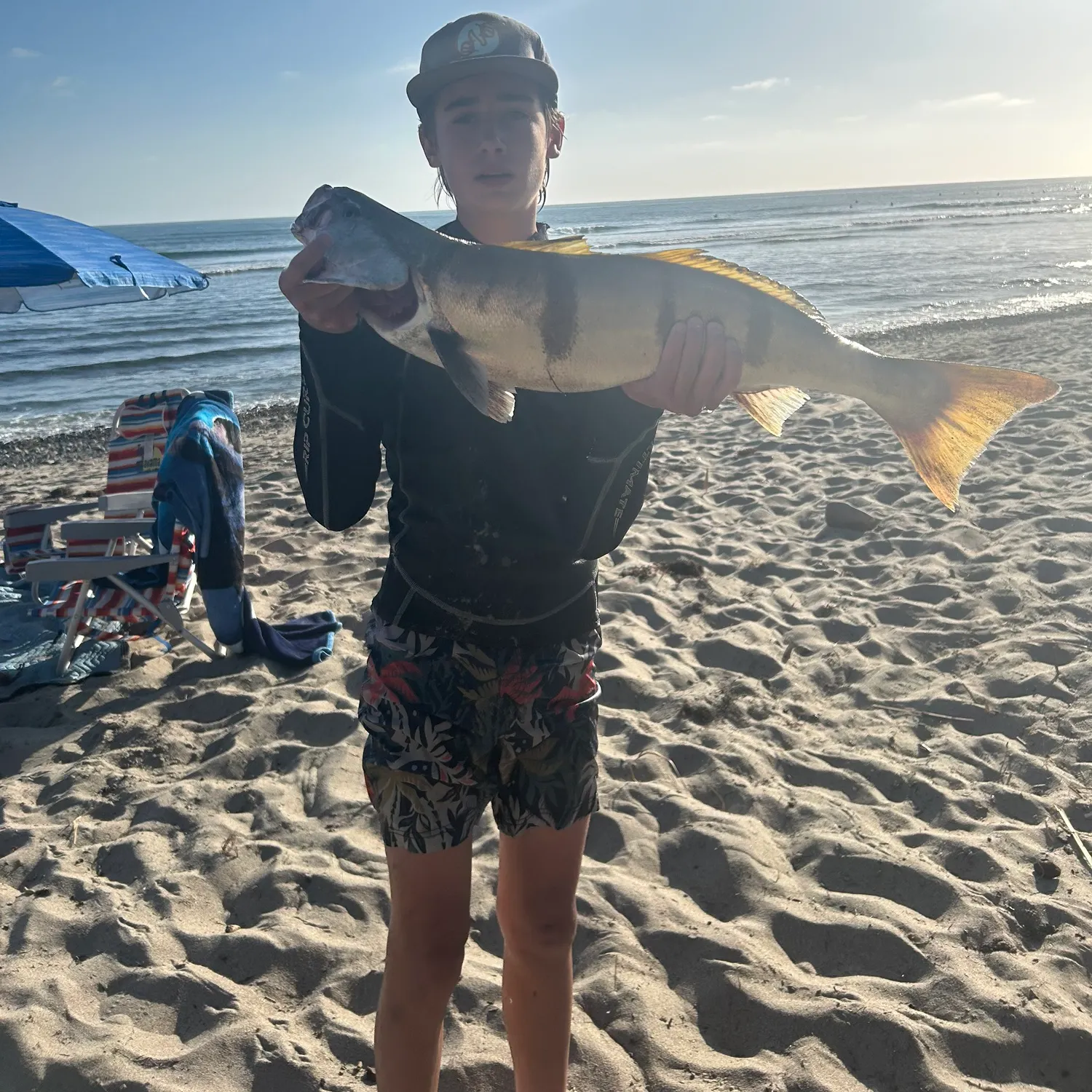 The most recent White seabass catches on Fishbrain