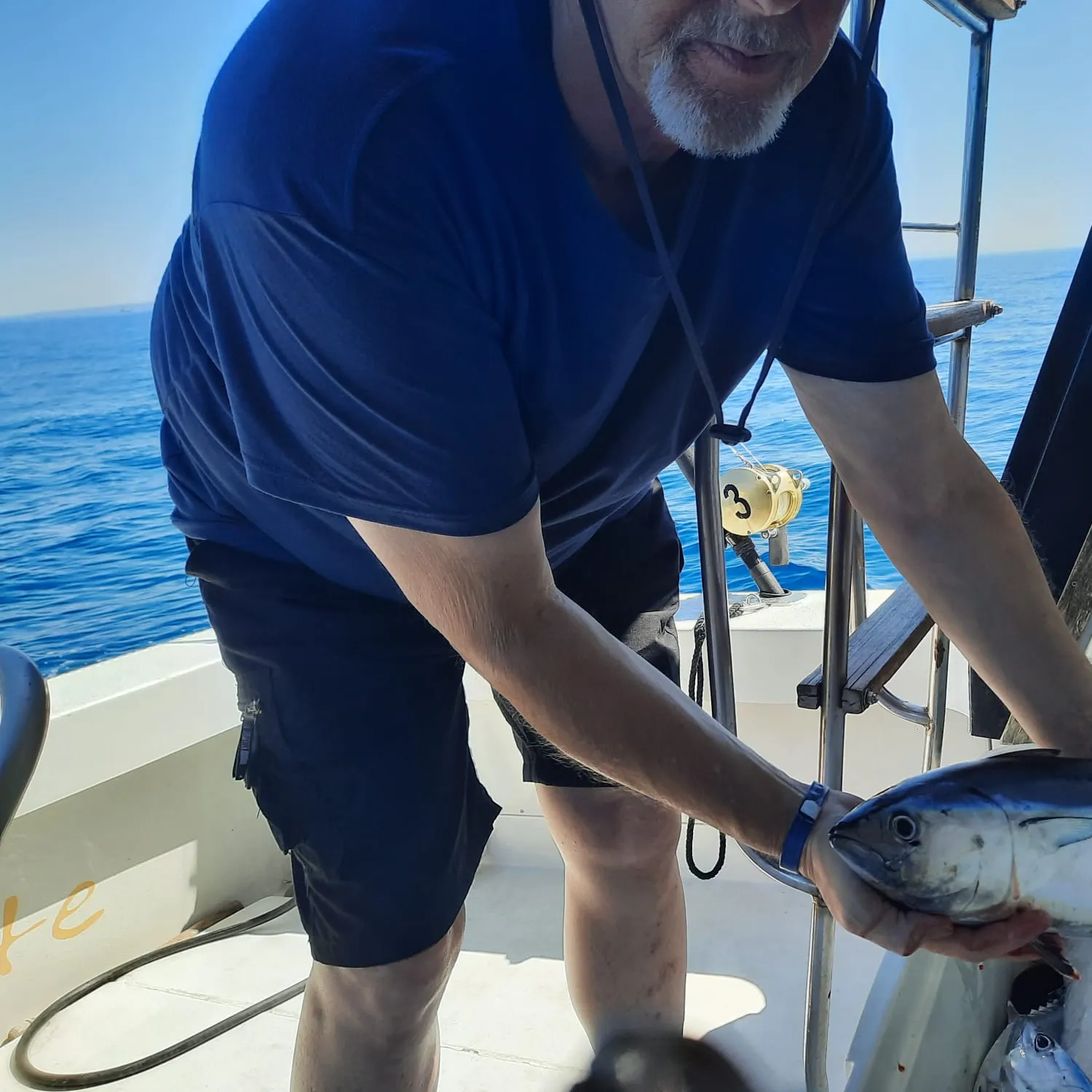 Skipjack tuna caught on Fishbrain