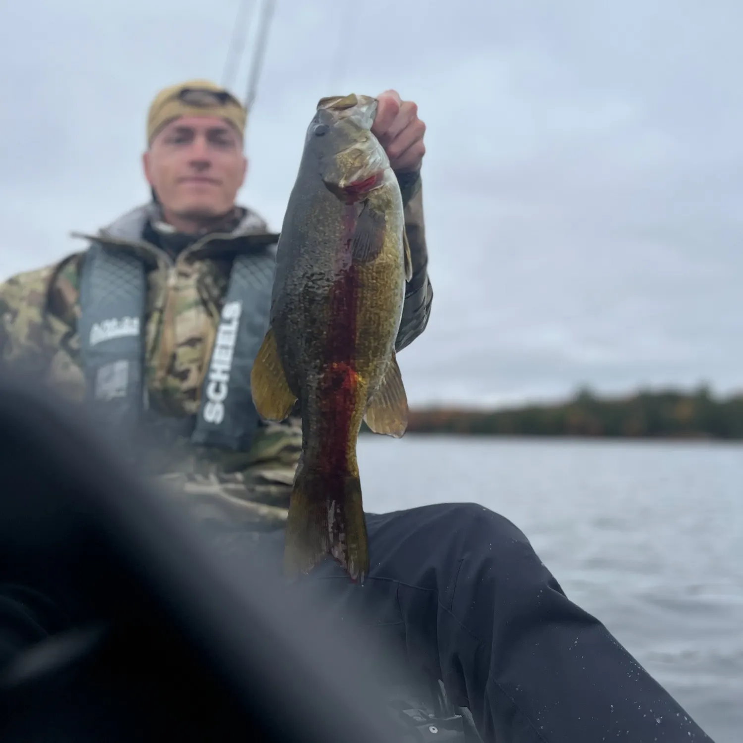 Smallmouth bass caught on Fishbrain