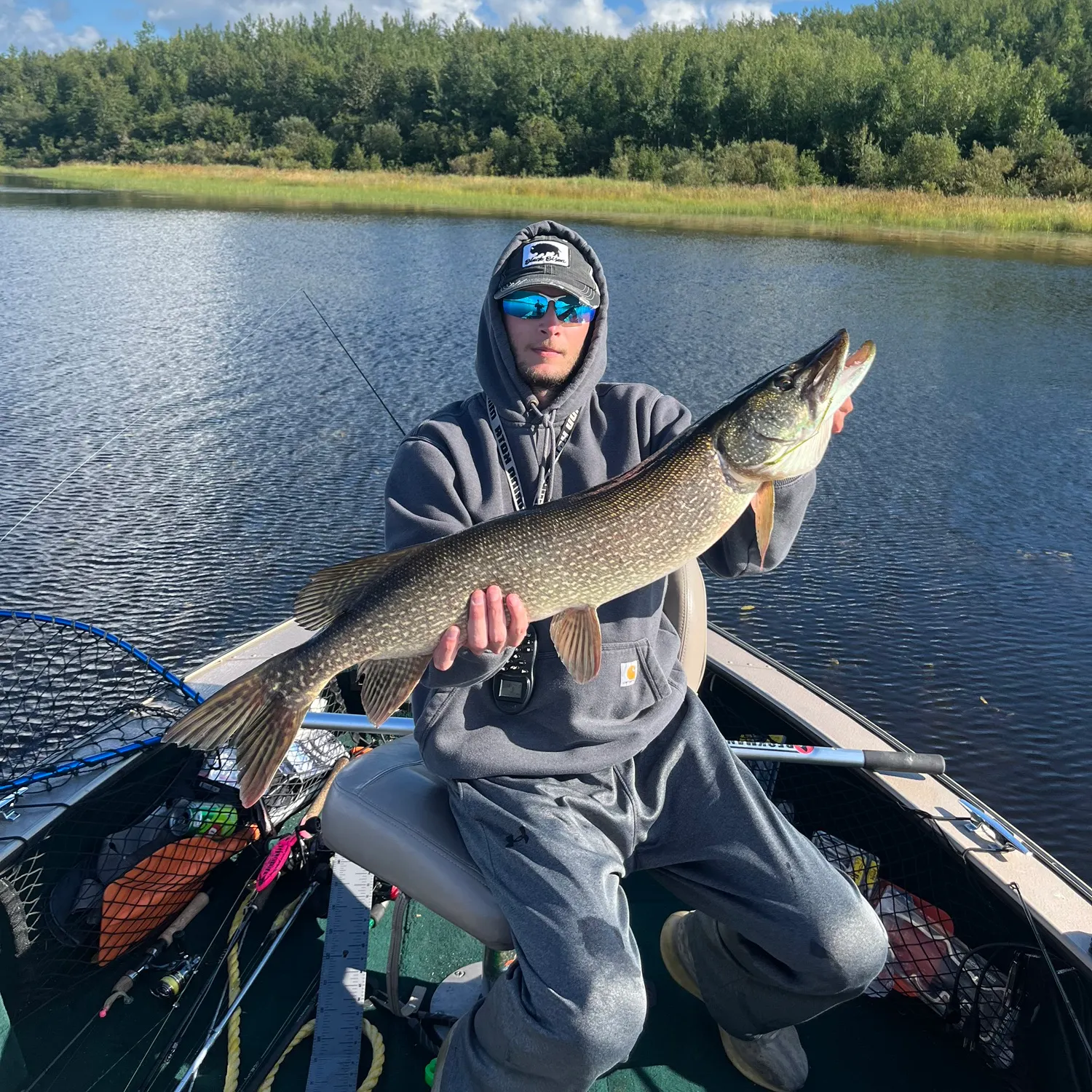 Northern pike caught on Fishbrain