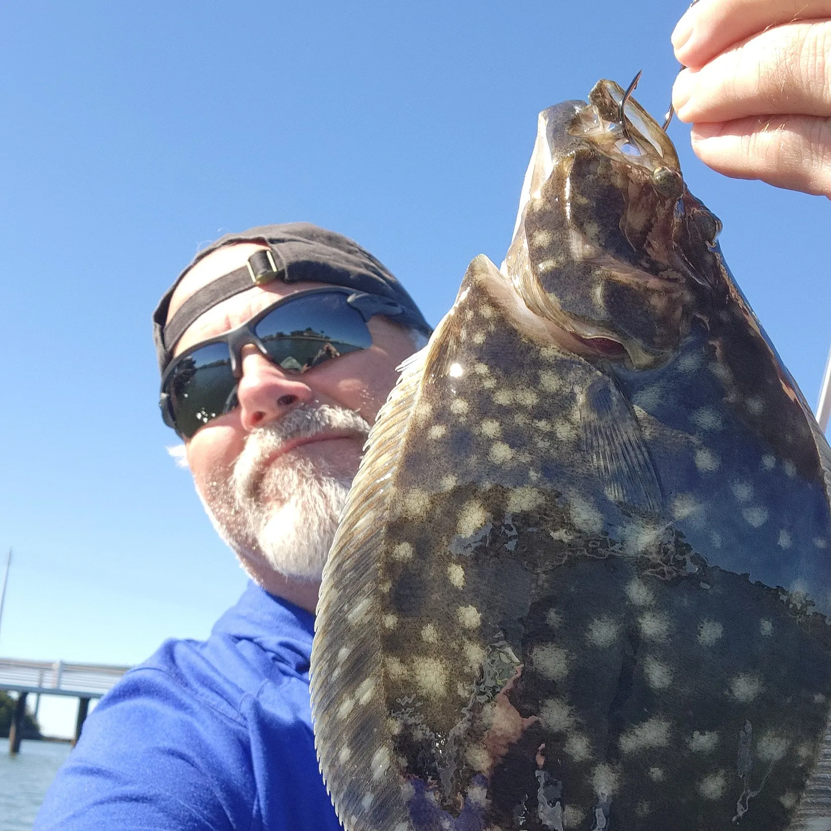 Summer flounder caught on Fishbrain