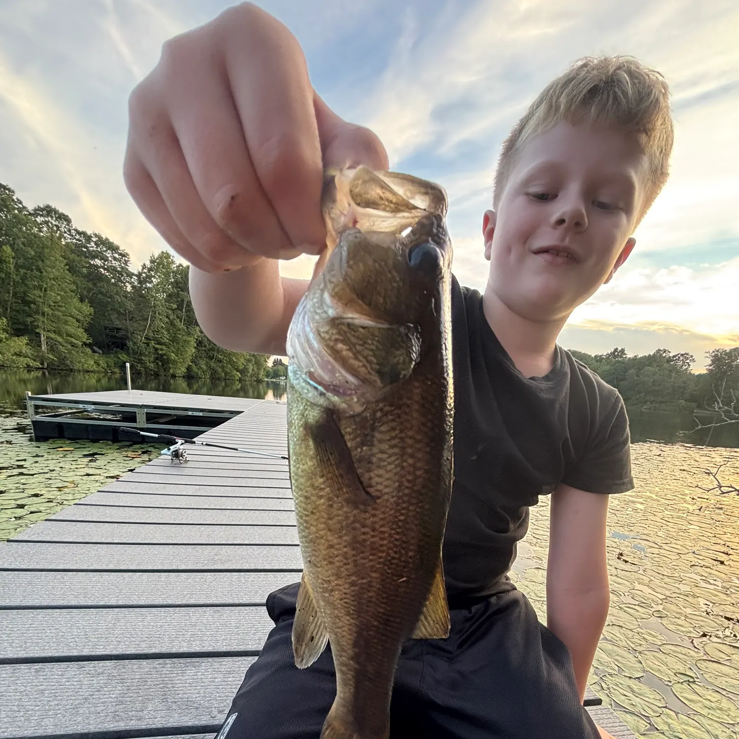 Largemouth bass caught on Fishbrain