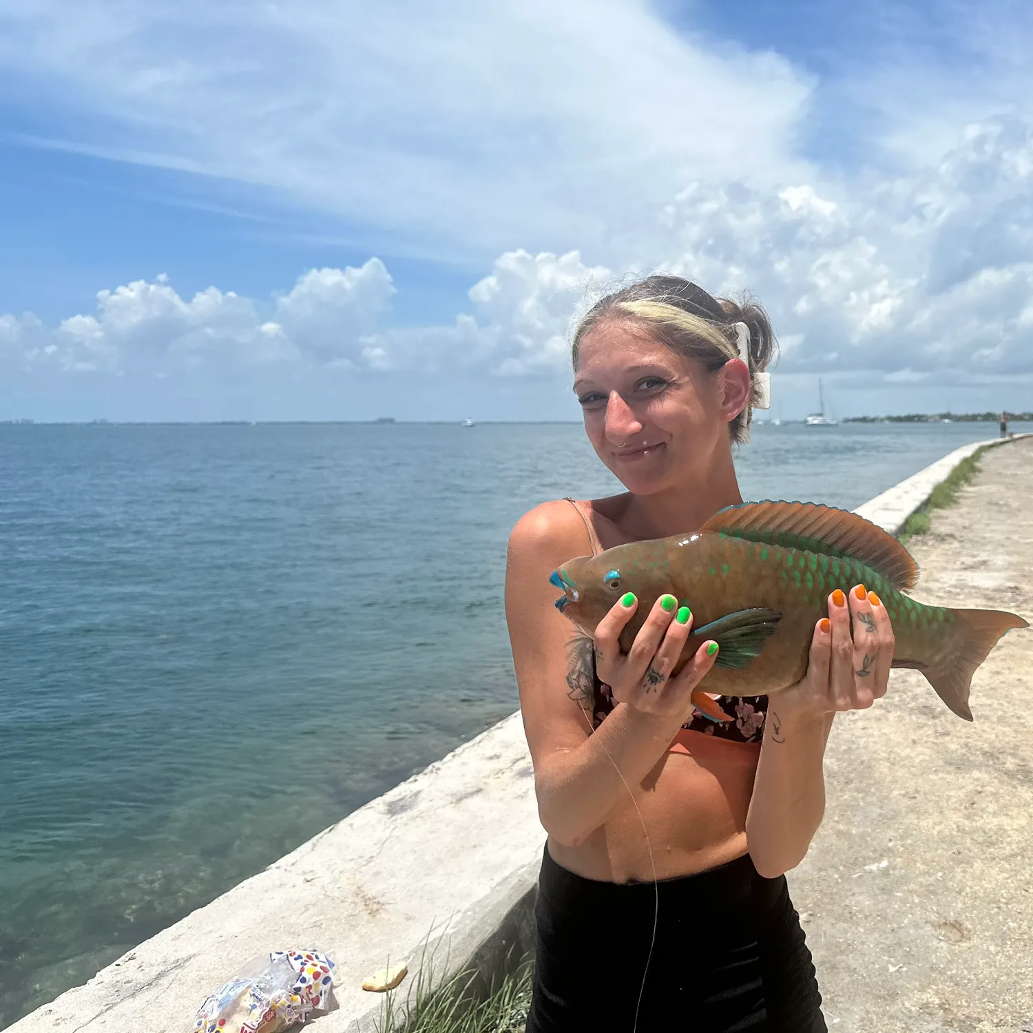 The most recent Rainbow parrotfish catches on Fishbrain