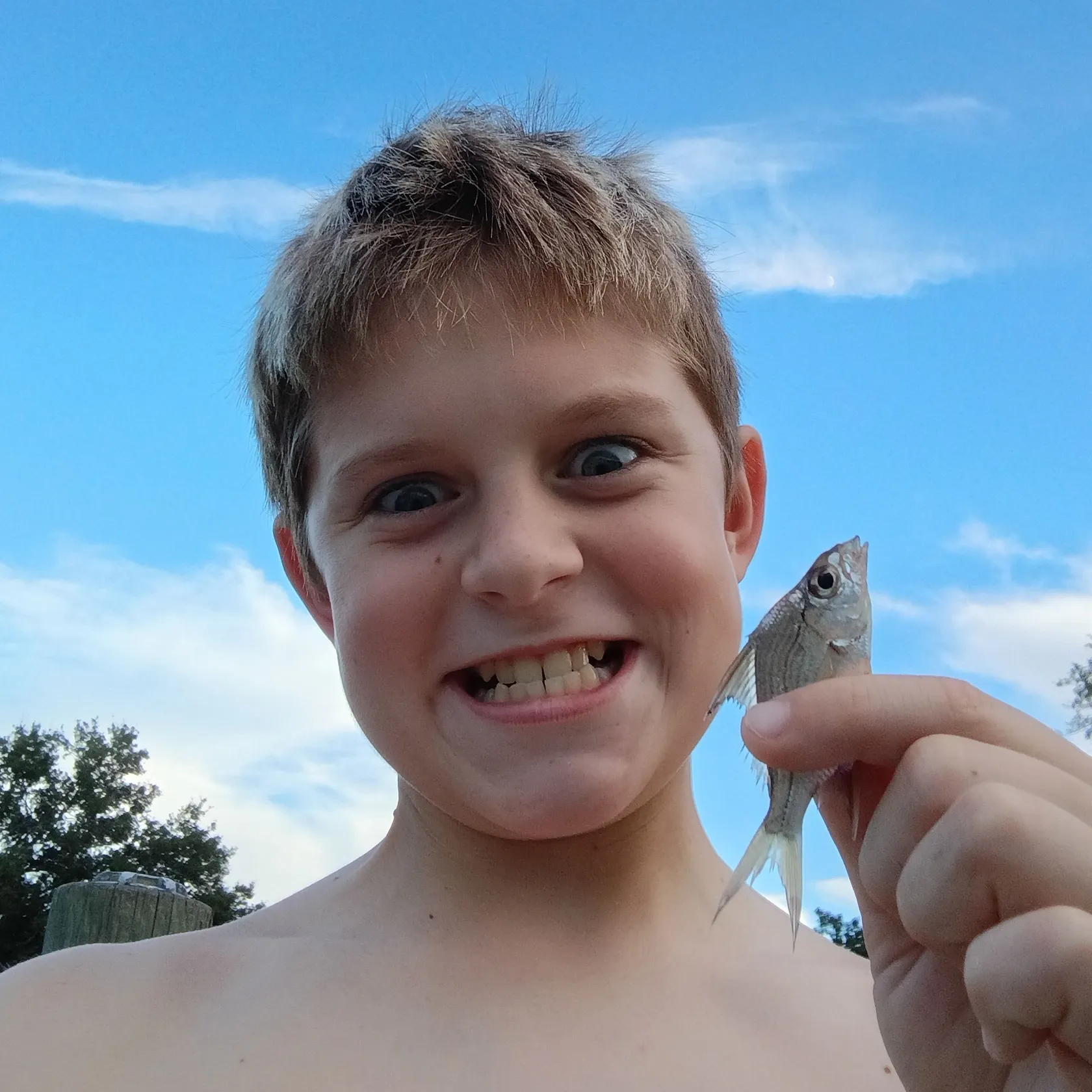 White bass caught on Fishbrain