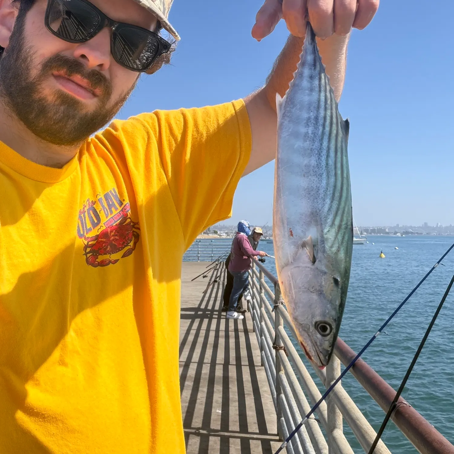 Pacific bonito caught on Fishbrain