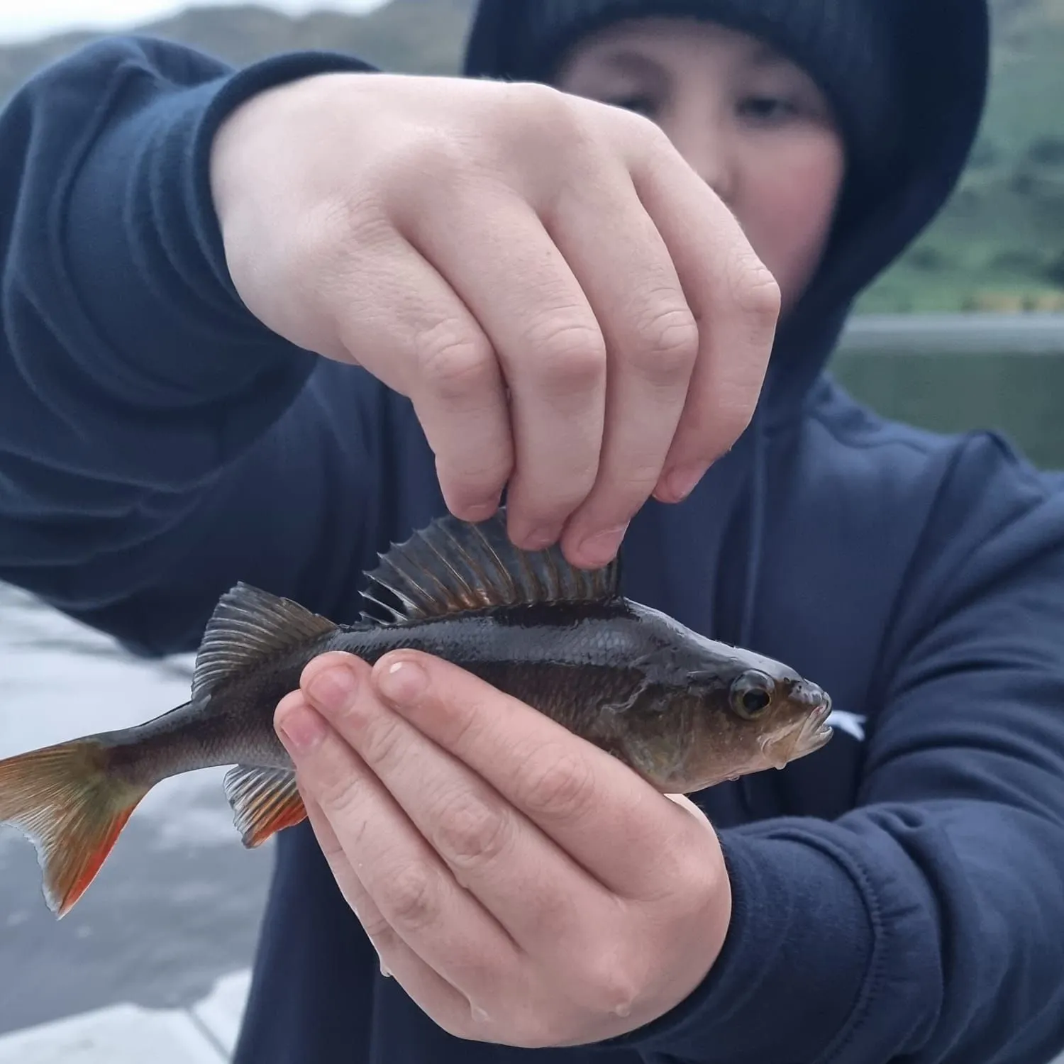 catch