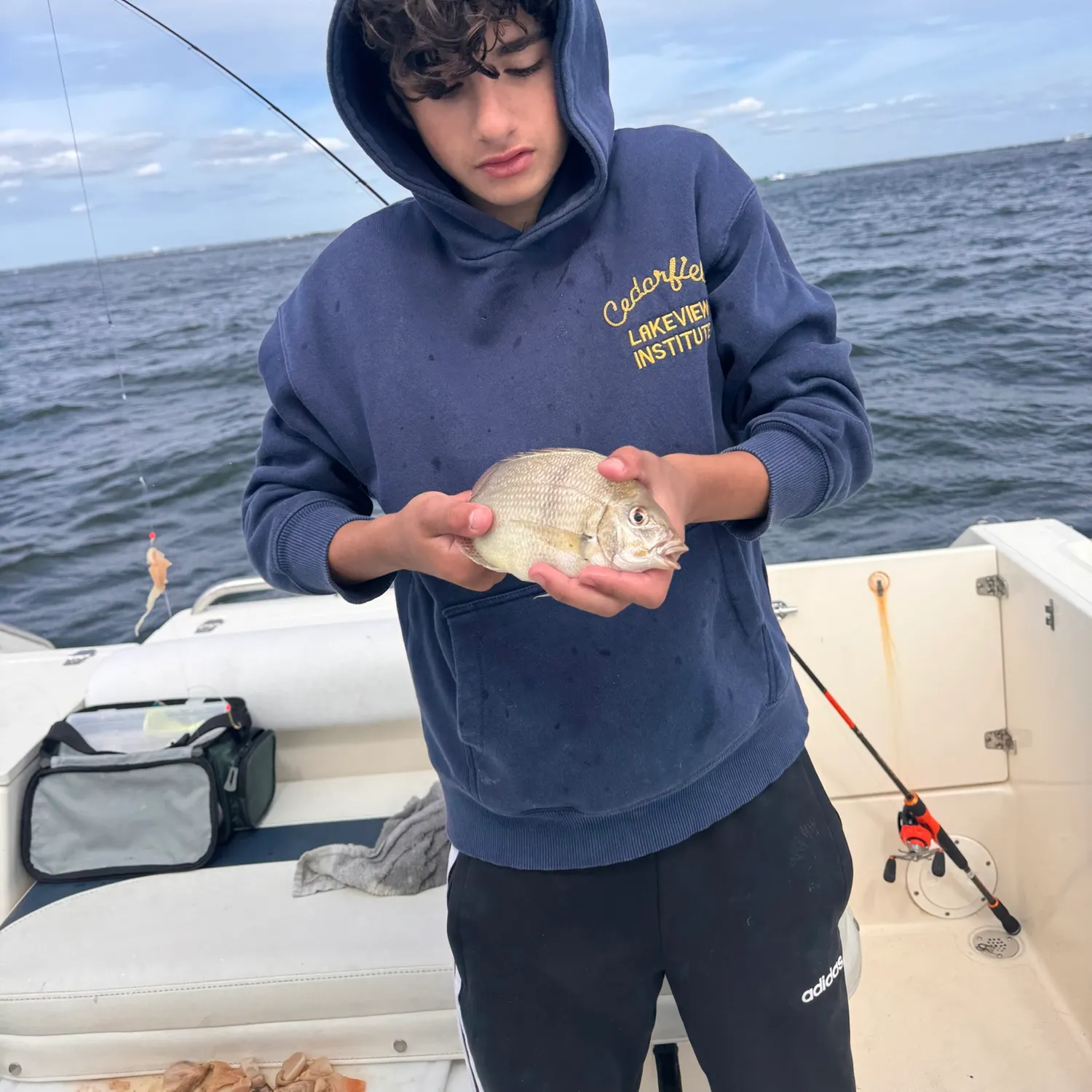 Silver porgy caught on Fishbrain