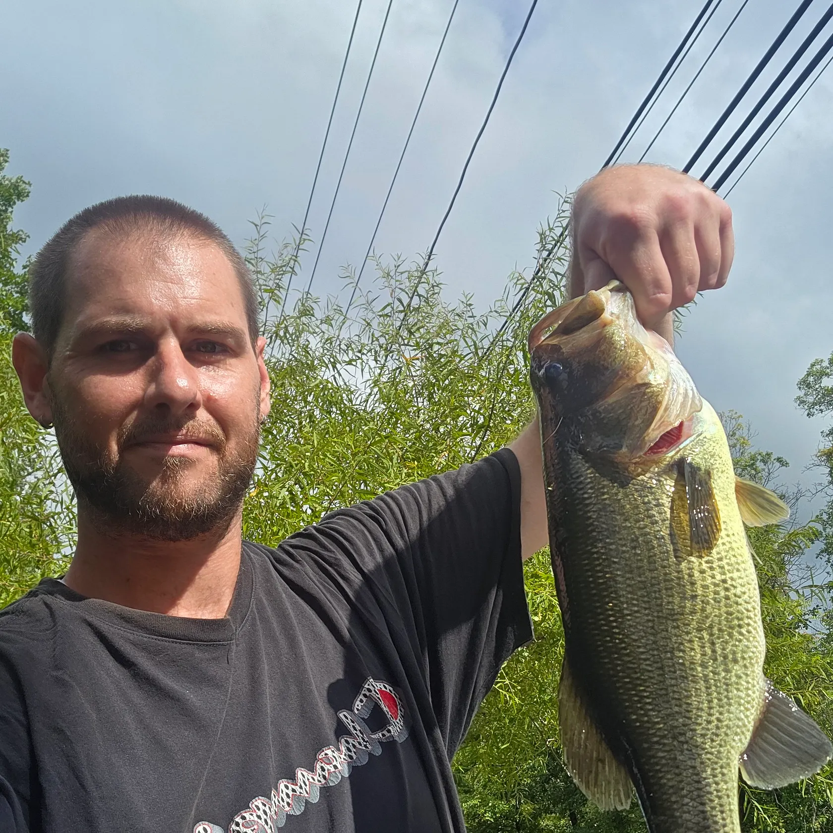 Largemouth bass caught on Fishbrain