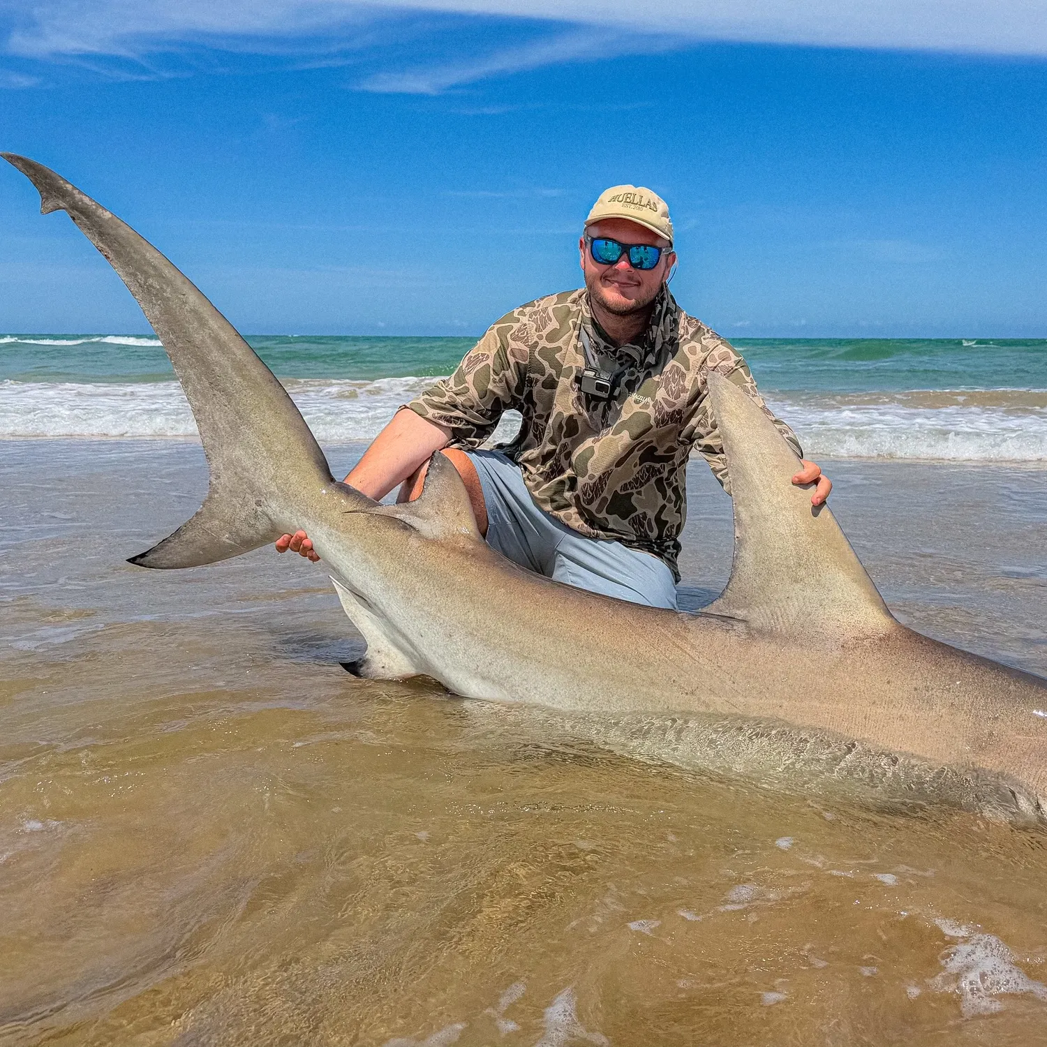 The most recent Great hammerhead shark catches on Fishbrain