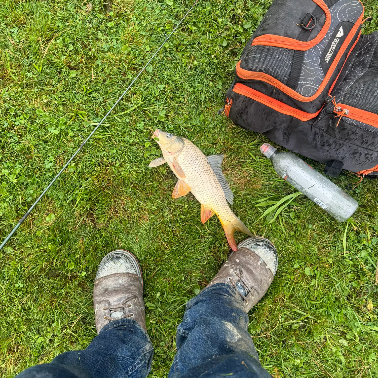 angler catch