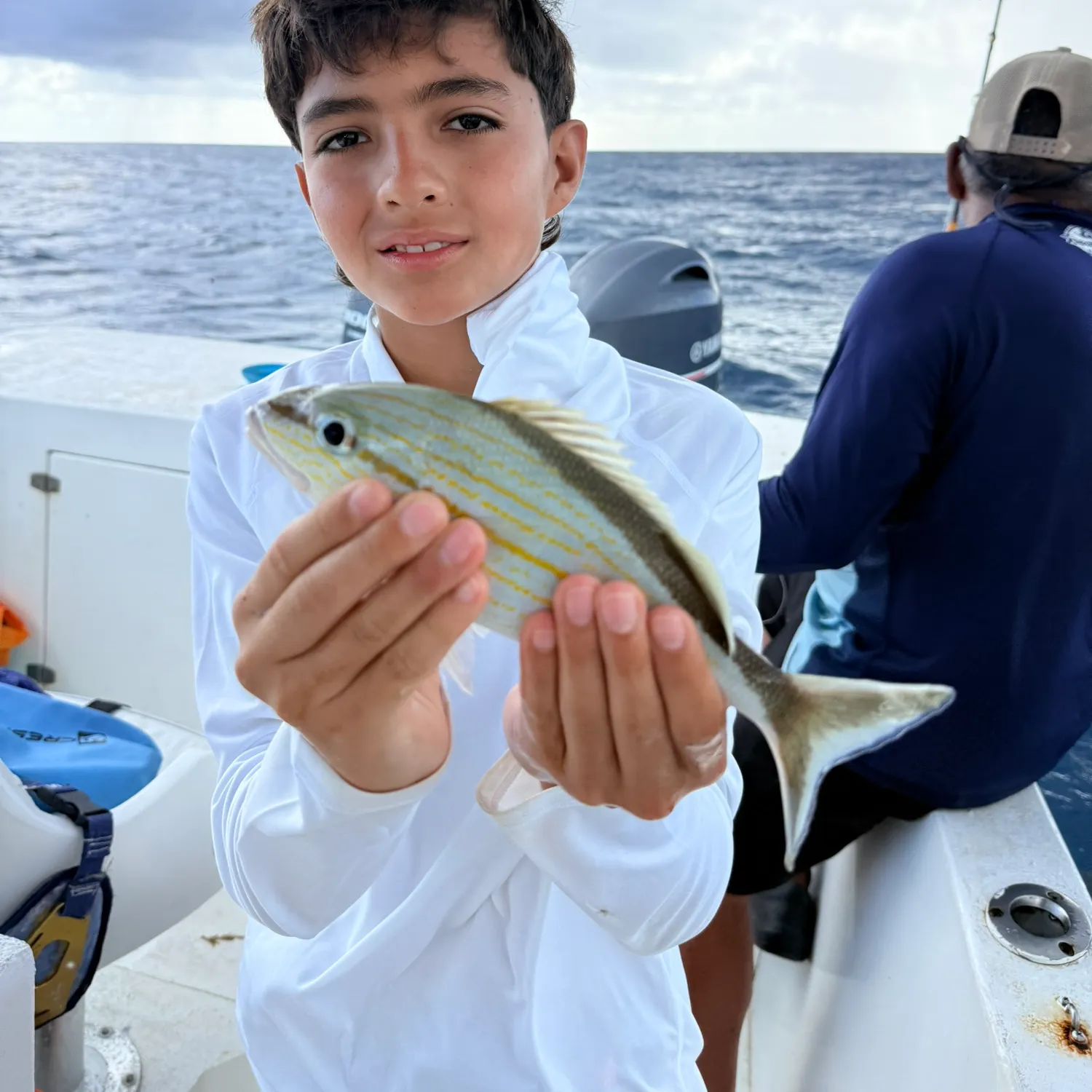 Yellowtail snapper caught on Fishbrain