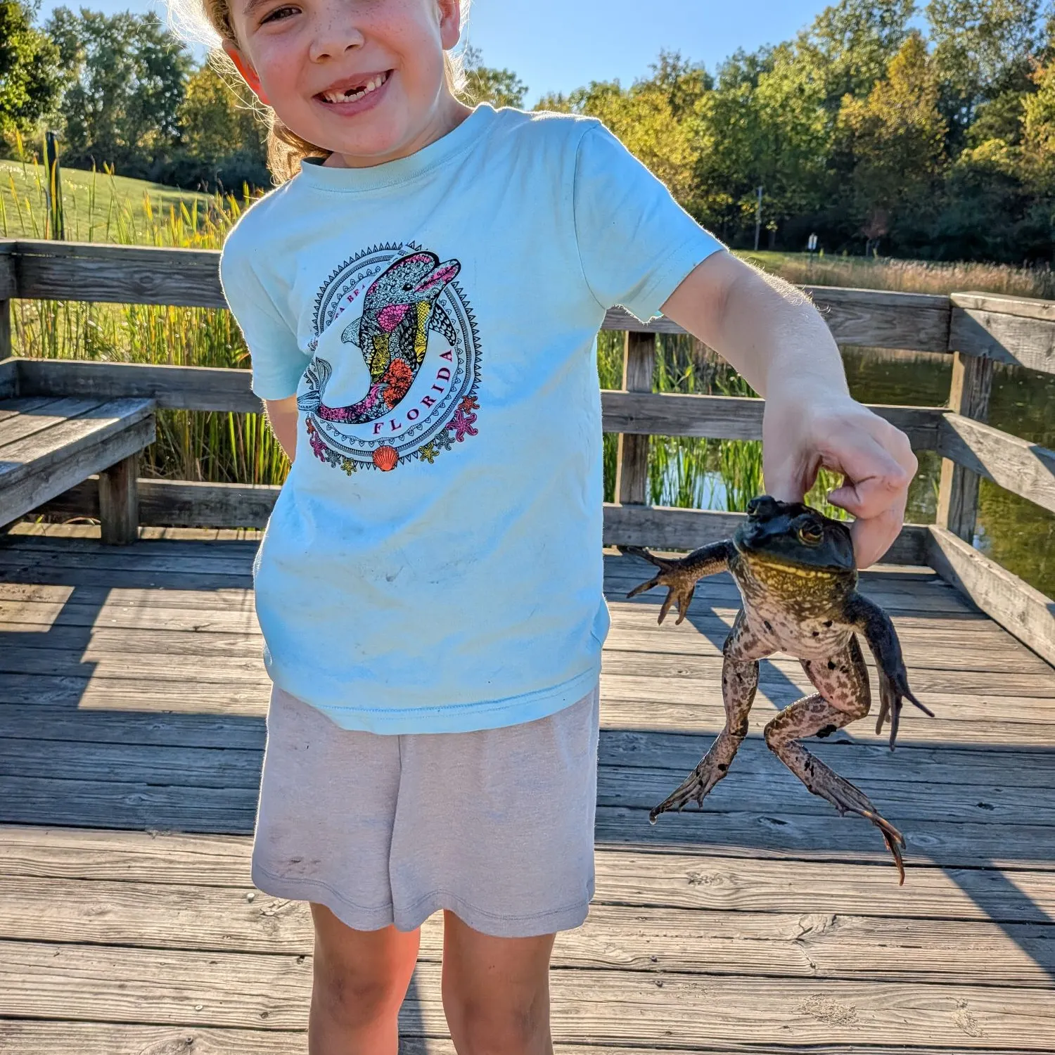 The most recent Great hammerhead shark catches on Fishbrain