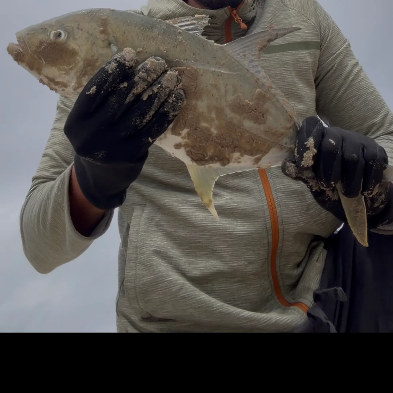 Giant trevally caught on Fishbrain