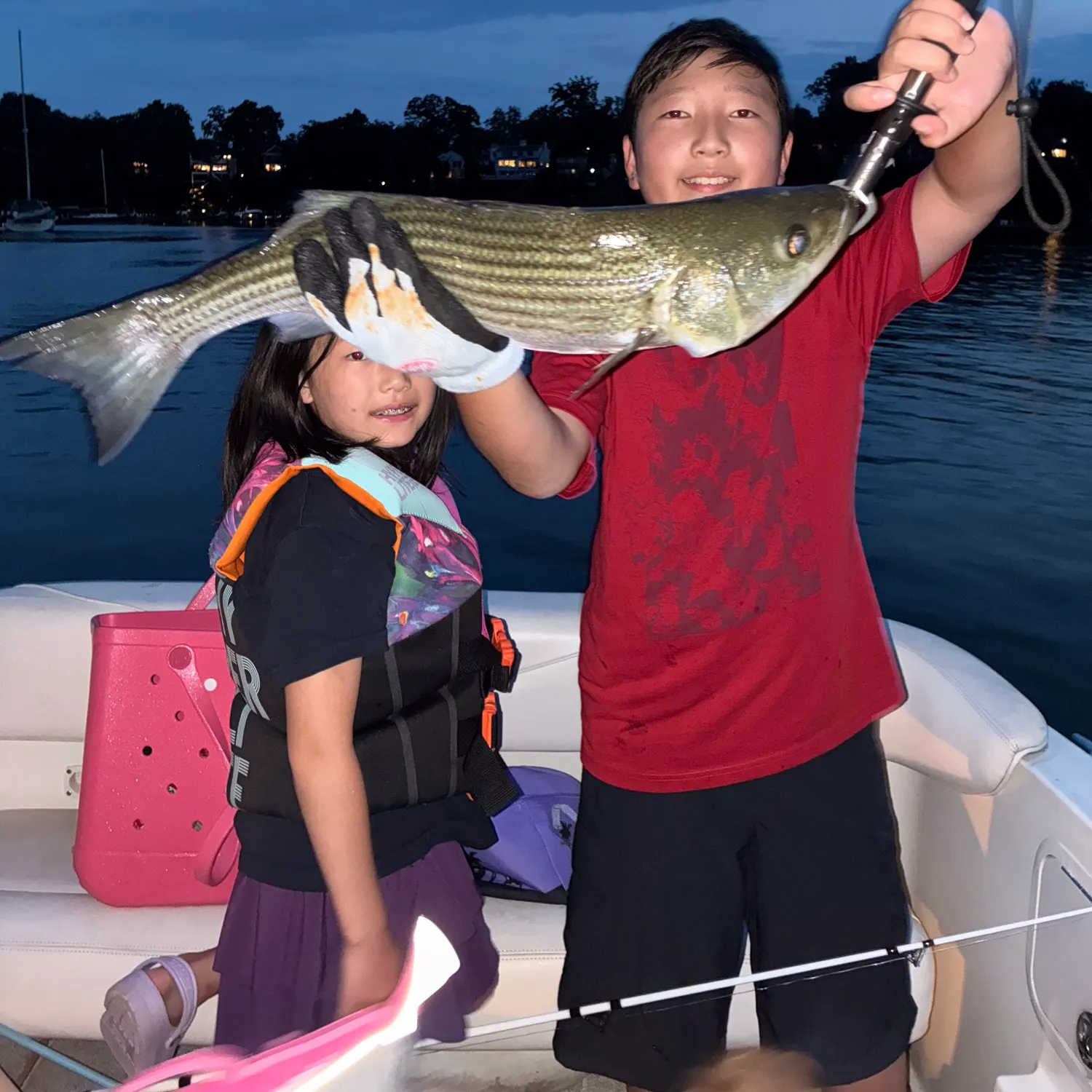 Striped bass caught on Fishbrain