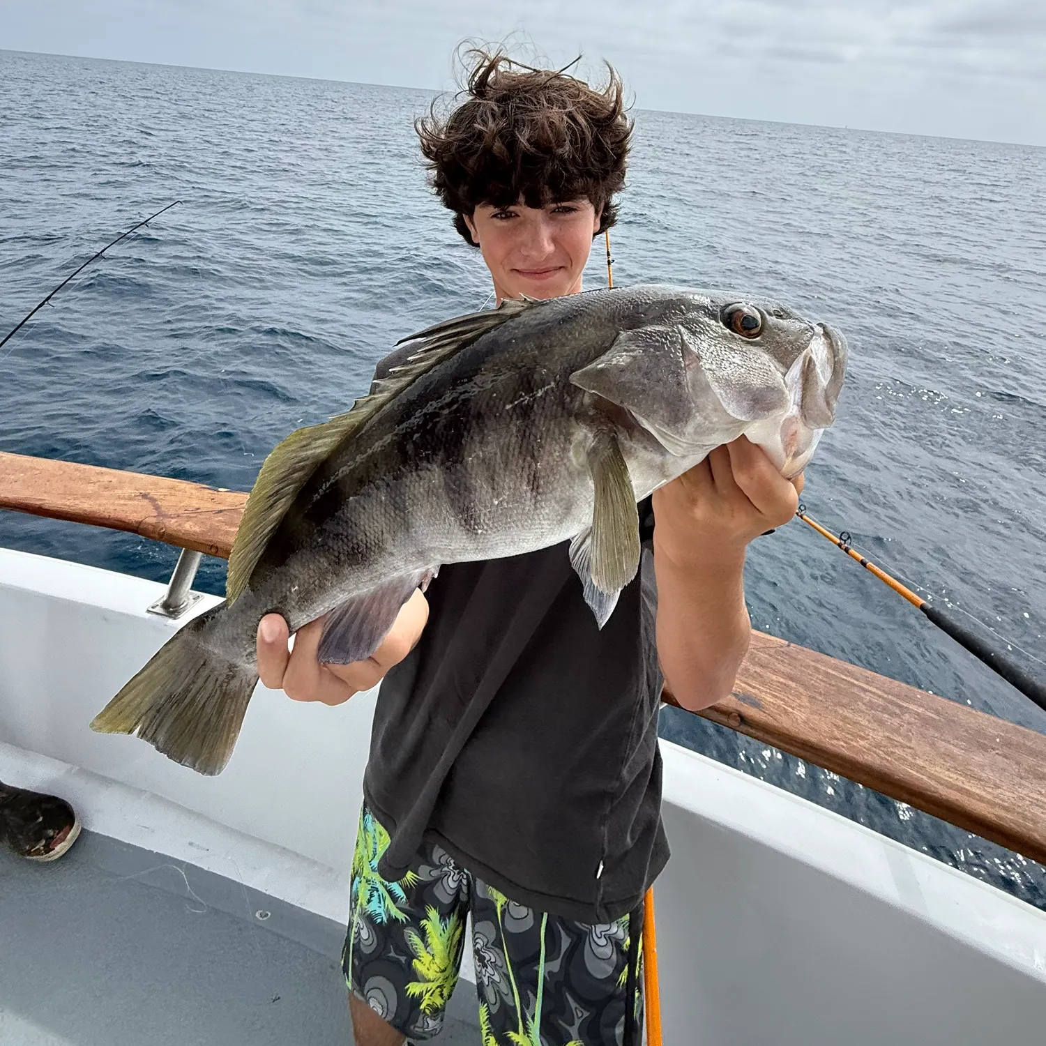 The most recent Barred sand bass catches on Fishbrain