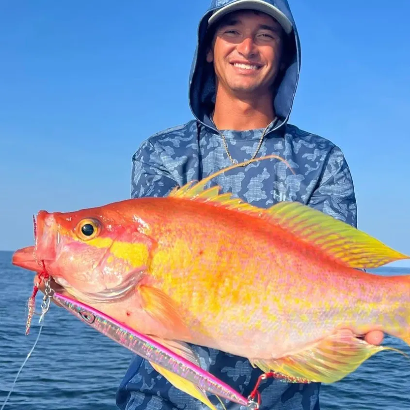 The most recent Silk snapper catches on Fishbrain