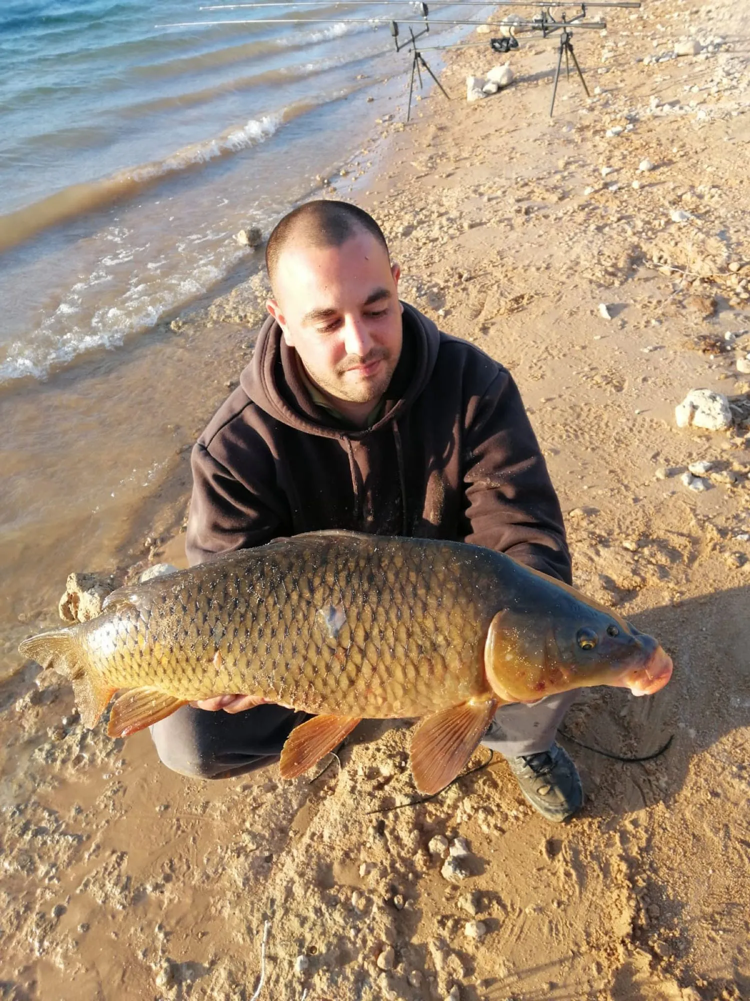 Post image from aperez8411