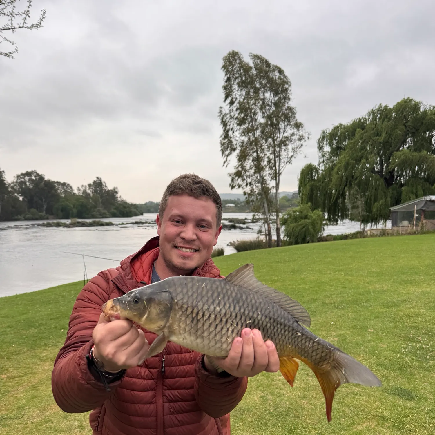 Common carp caught on Fishbrain