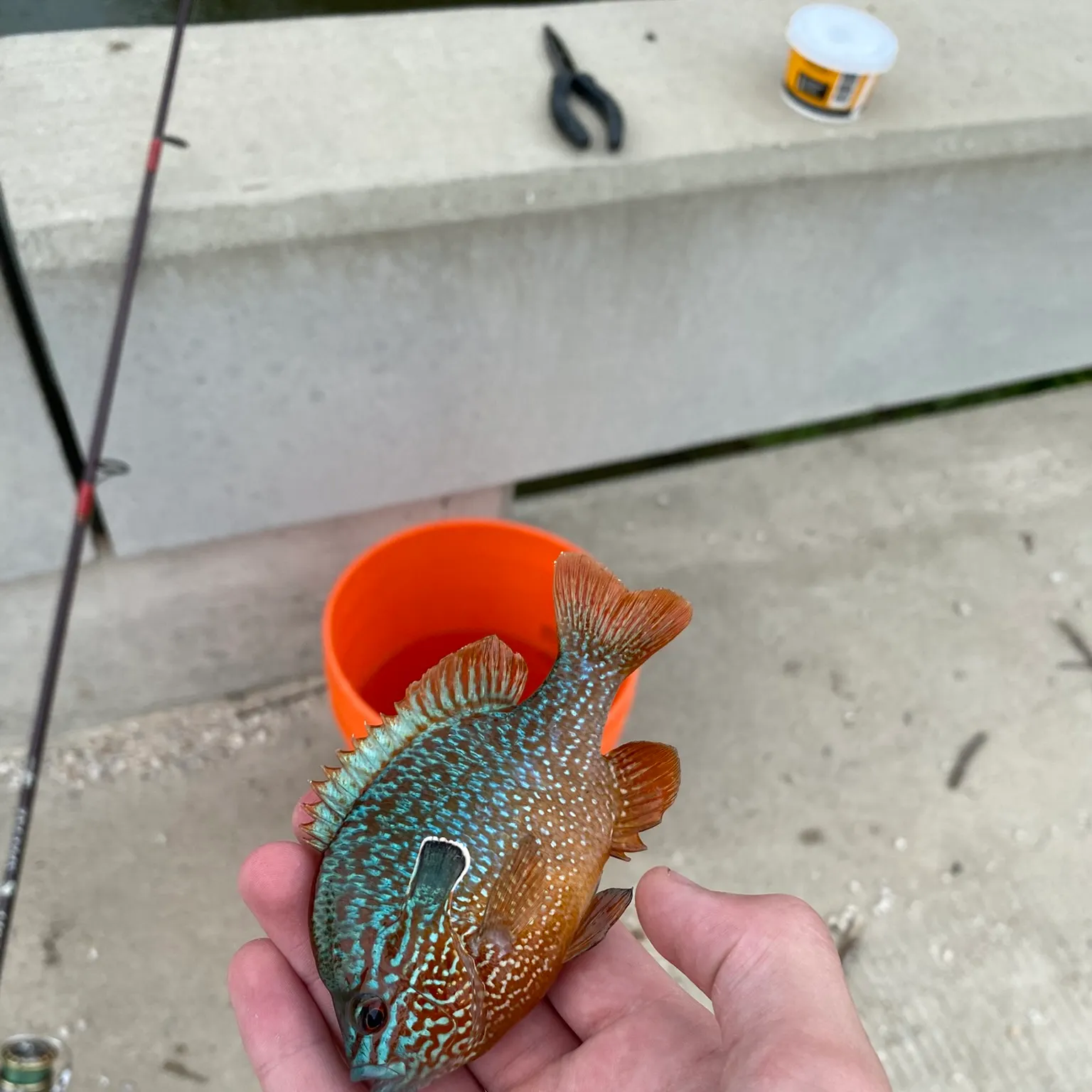 catch