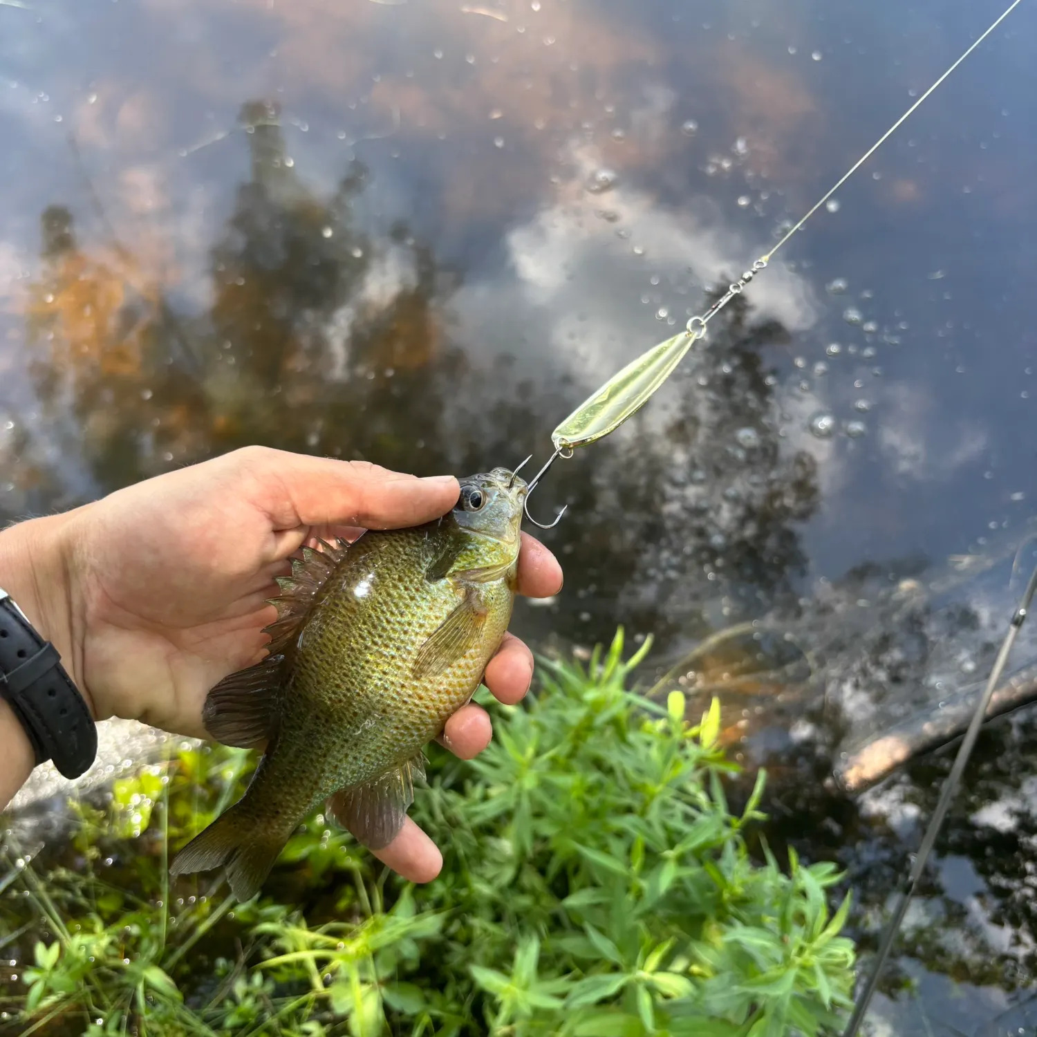 catch