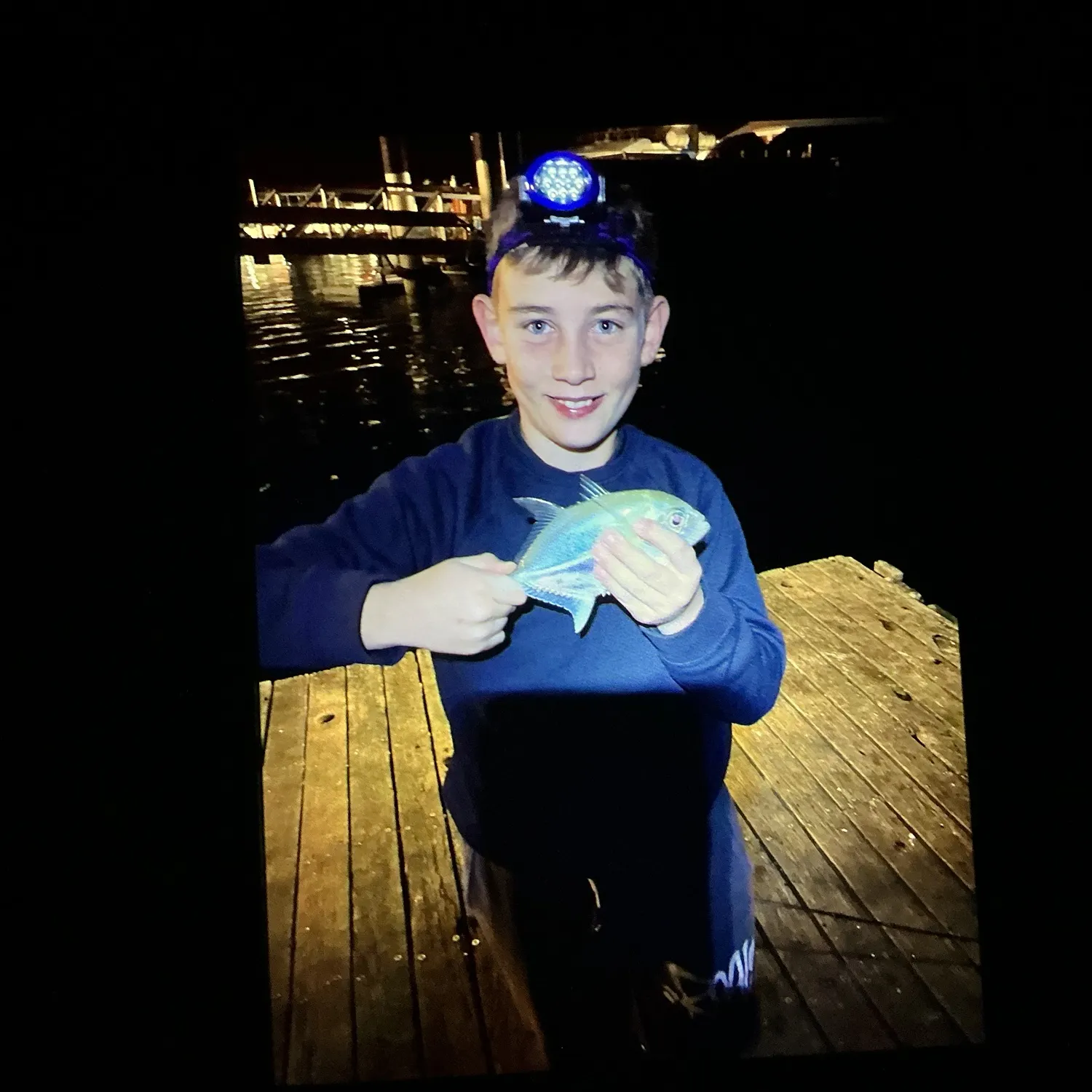 The most recent Brassy trevally catches on Fishbrain