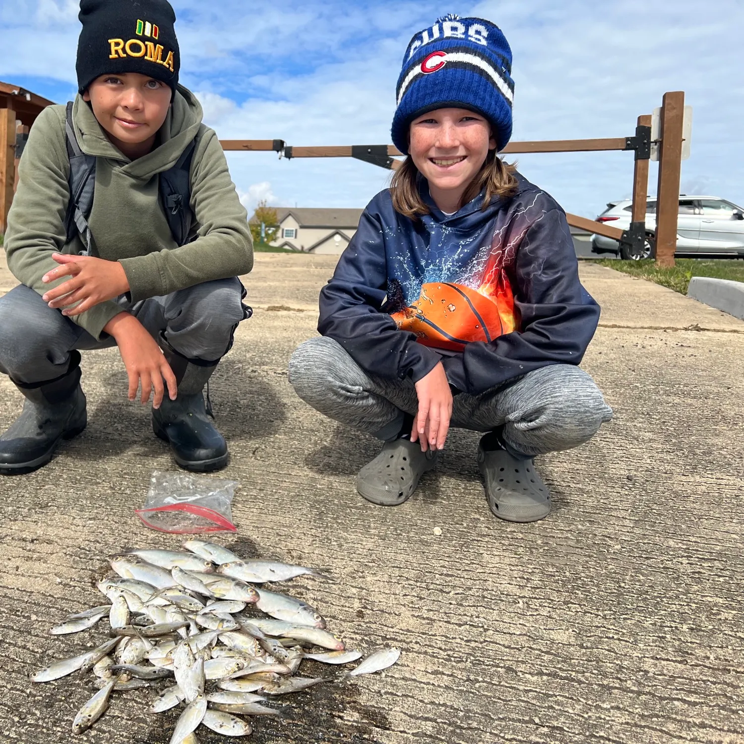 The most recent American gizzard shad catches on Fishbrain