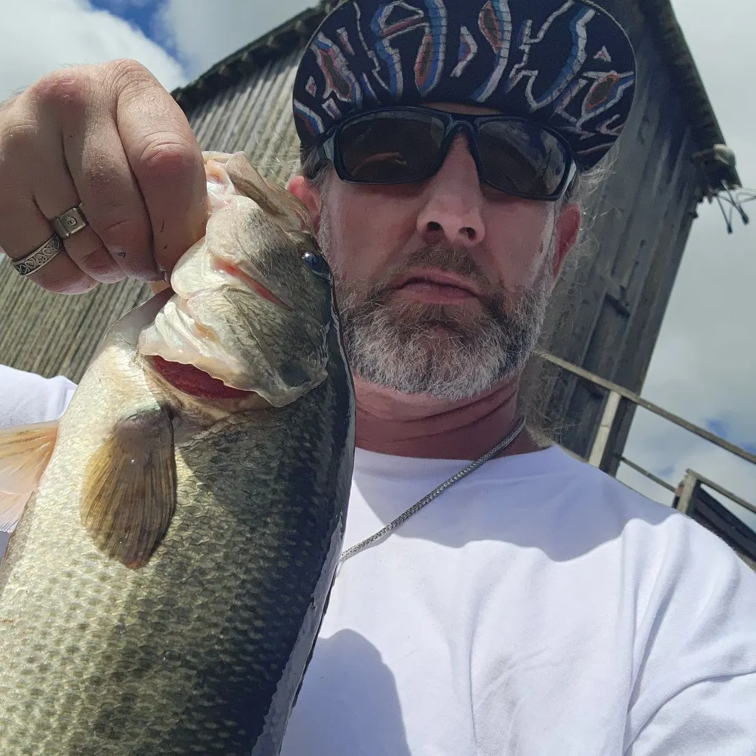 Largemouth bass caught on Fishbrain