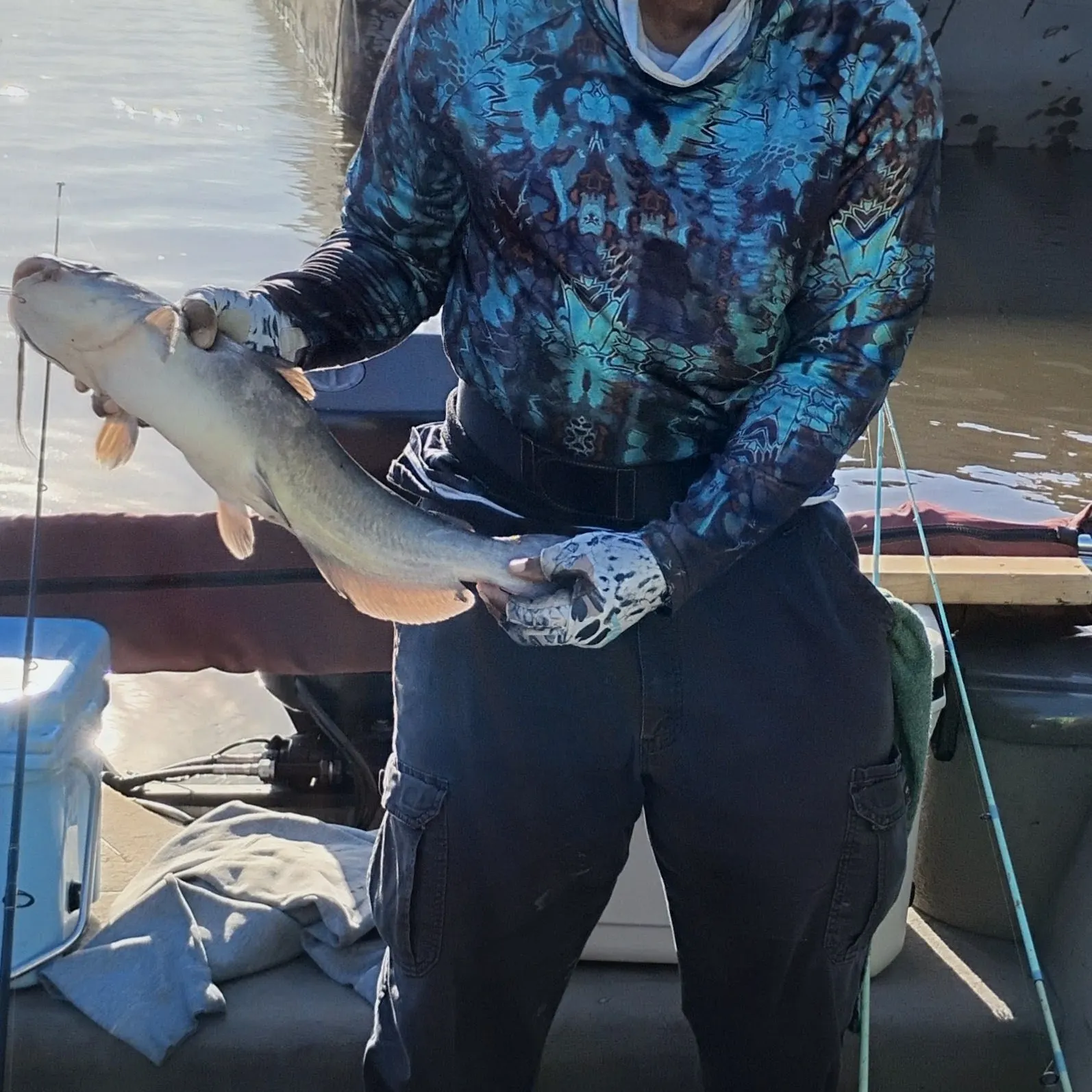 Channel catfish caught on Fishbrain