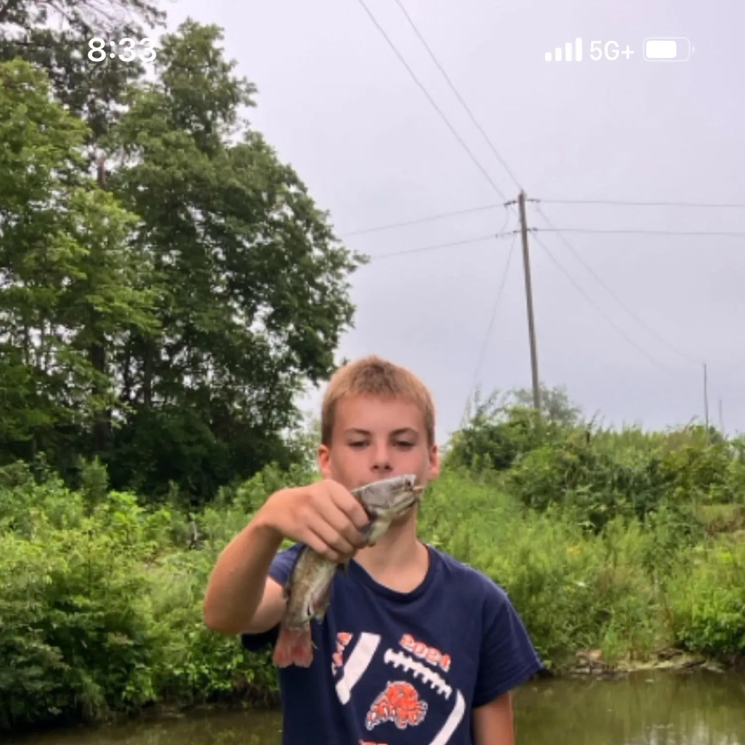 The most recent Flat bullhead catches on Fishbrain