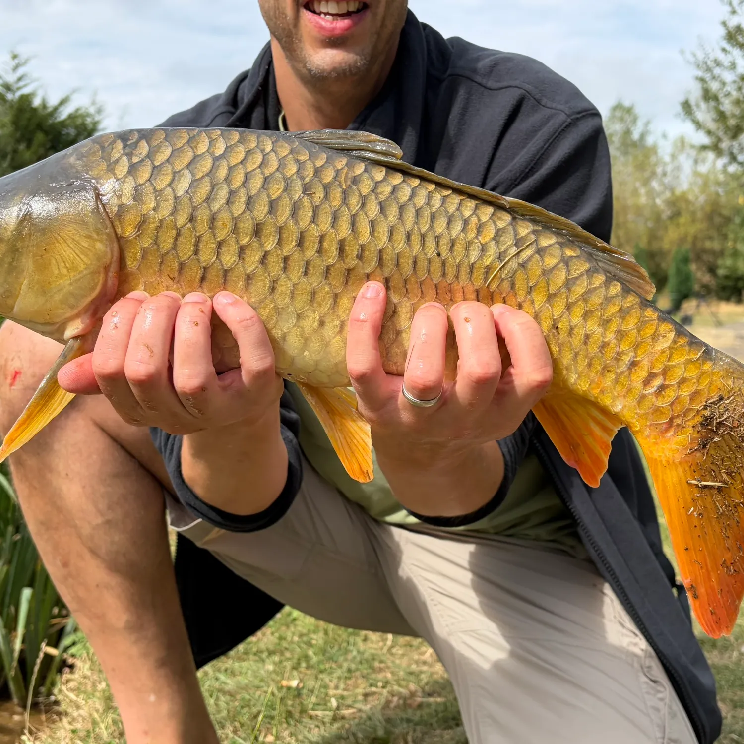 Common carp caught on Fishbrain