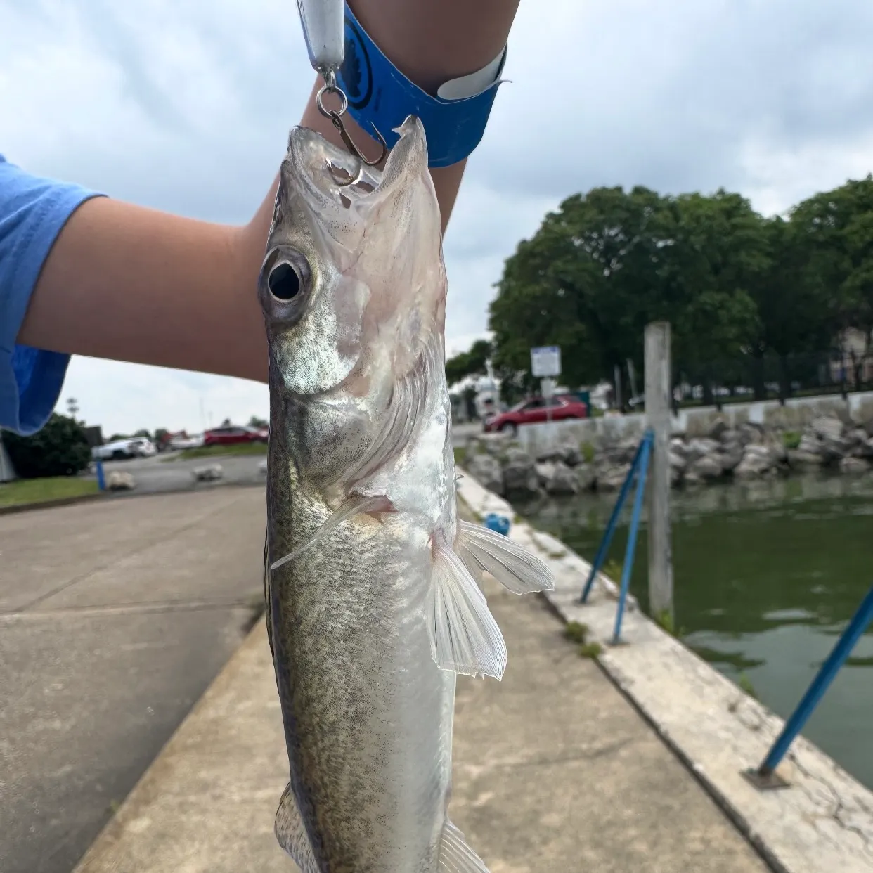 catch